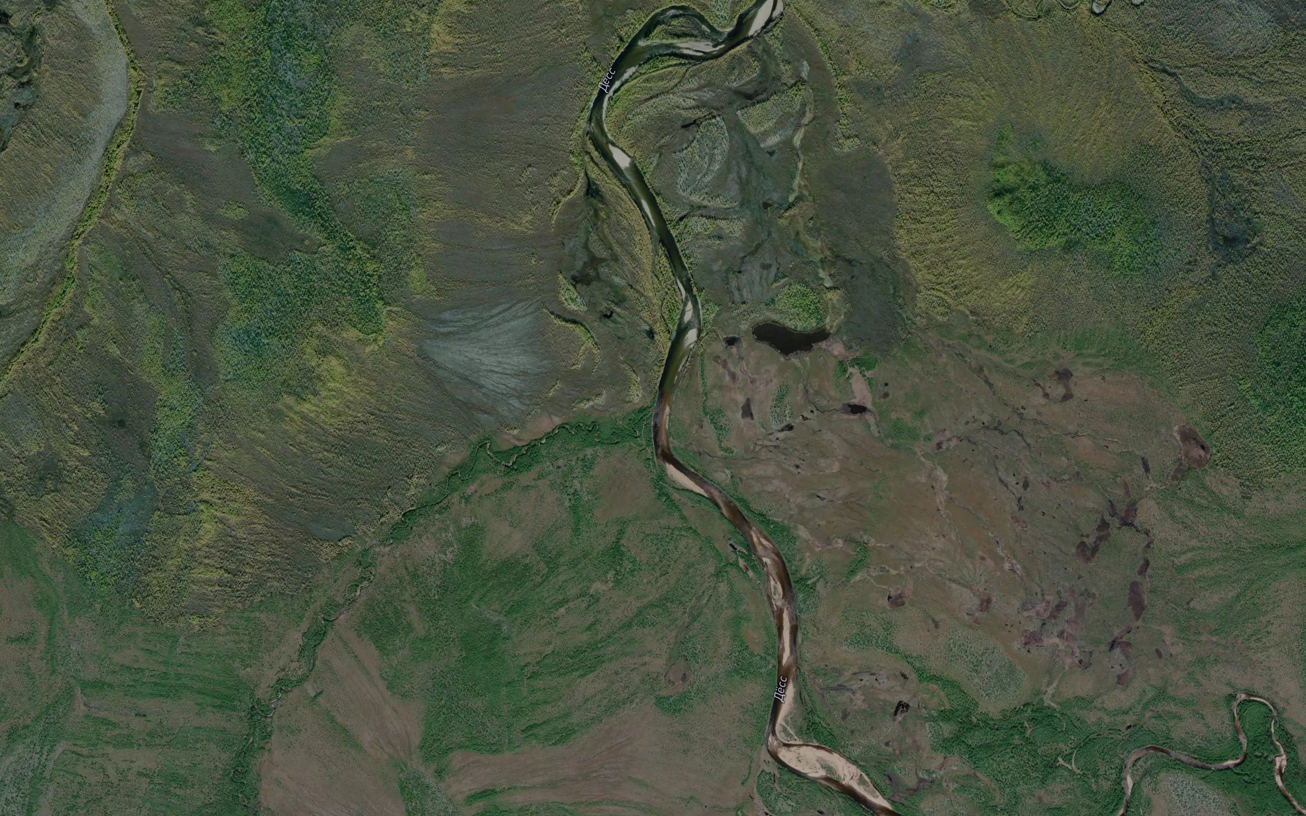 Kurum