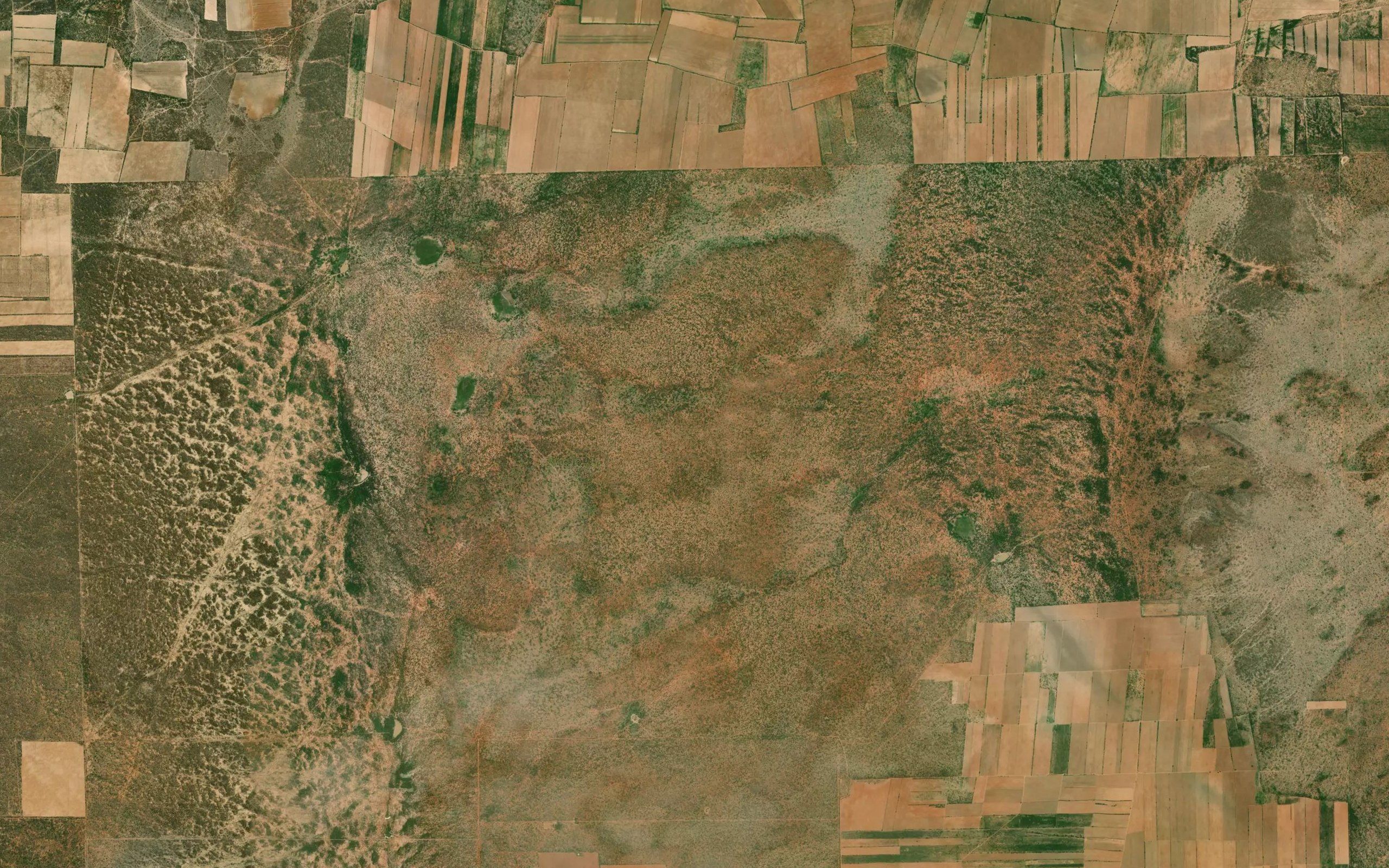 Laguna Viboras