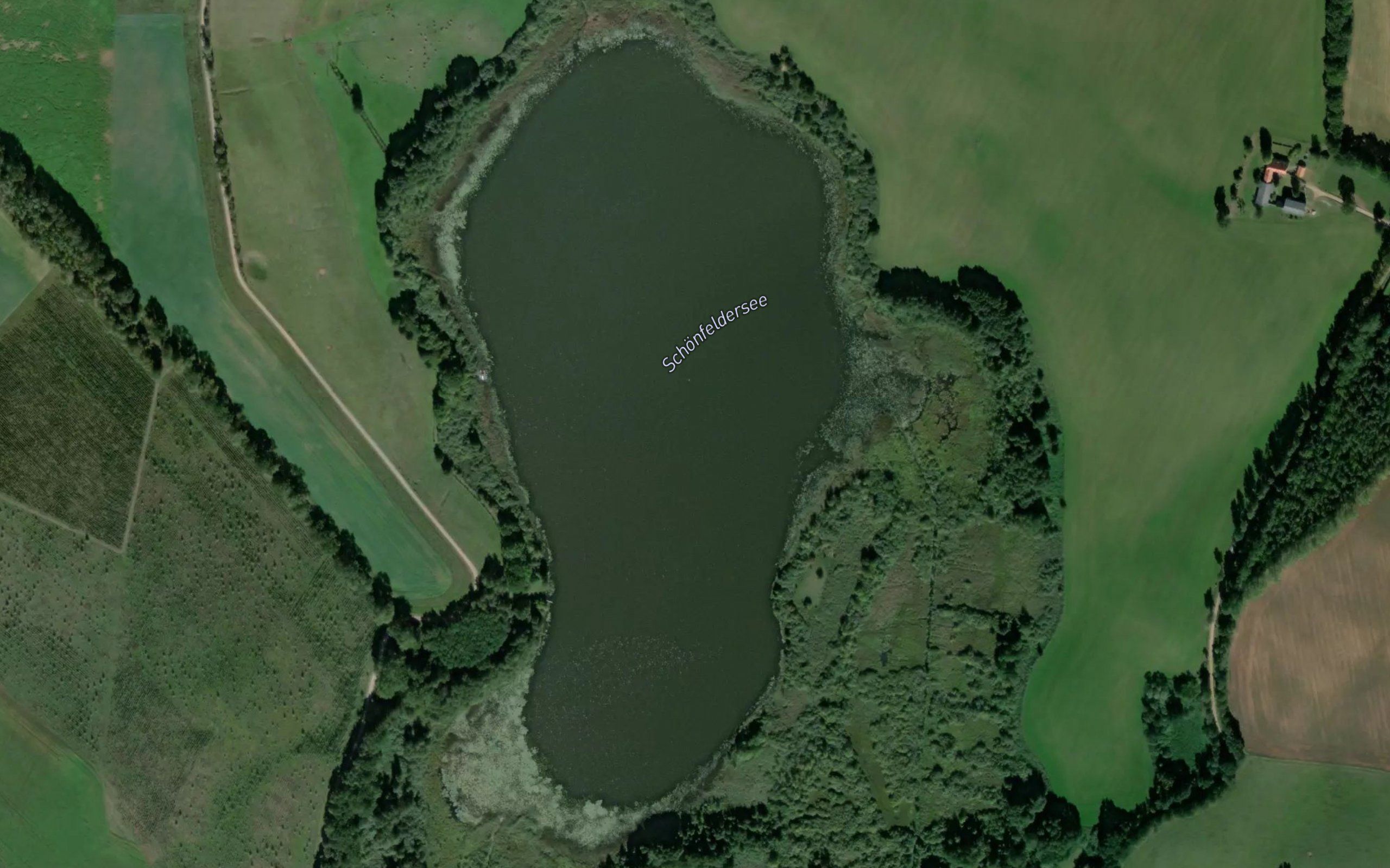Schonfeldersee