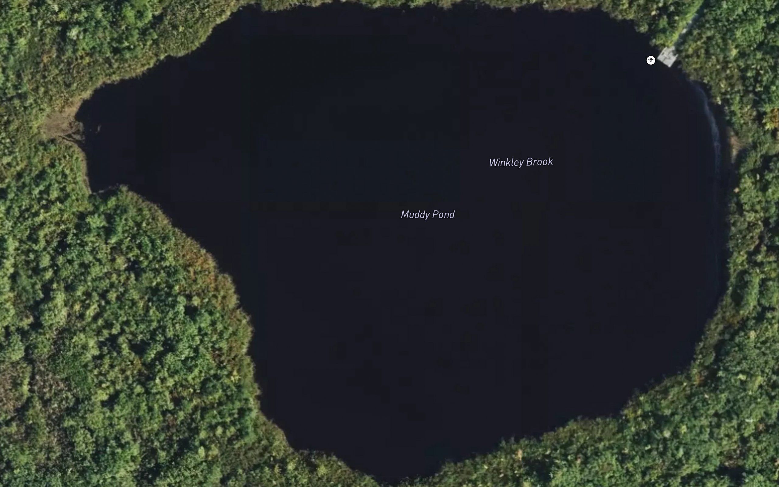 Muddy Pond