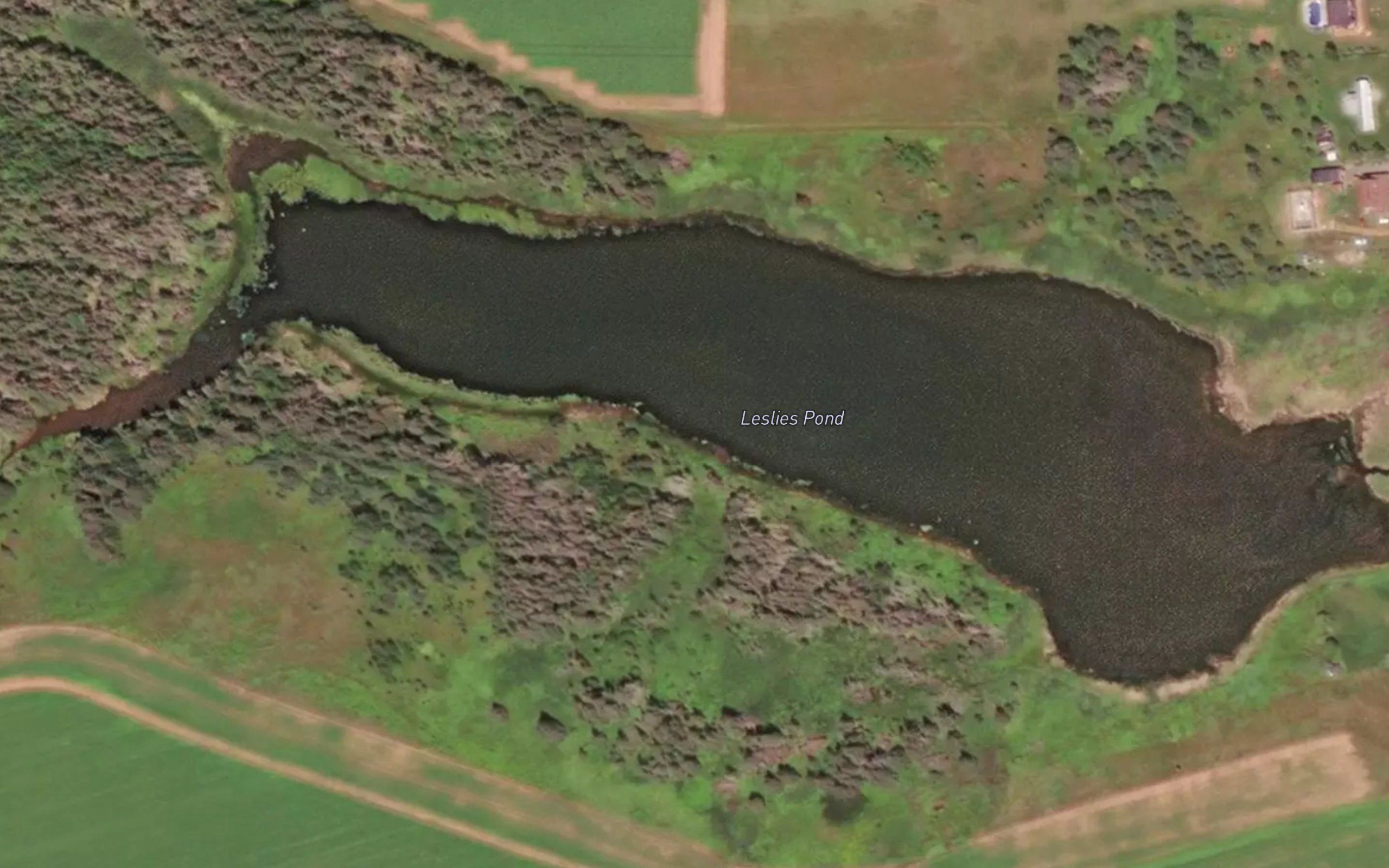 Leslies Pond