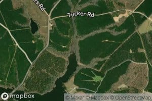 Prospect Branch
