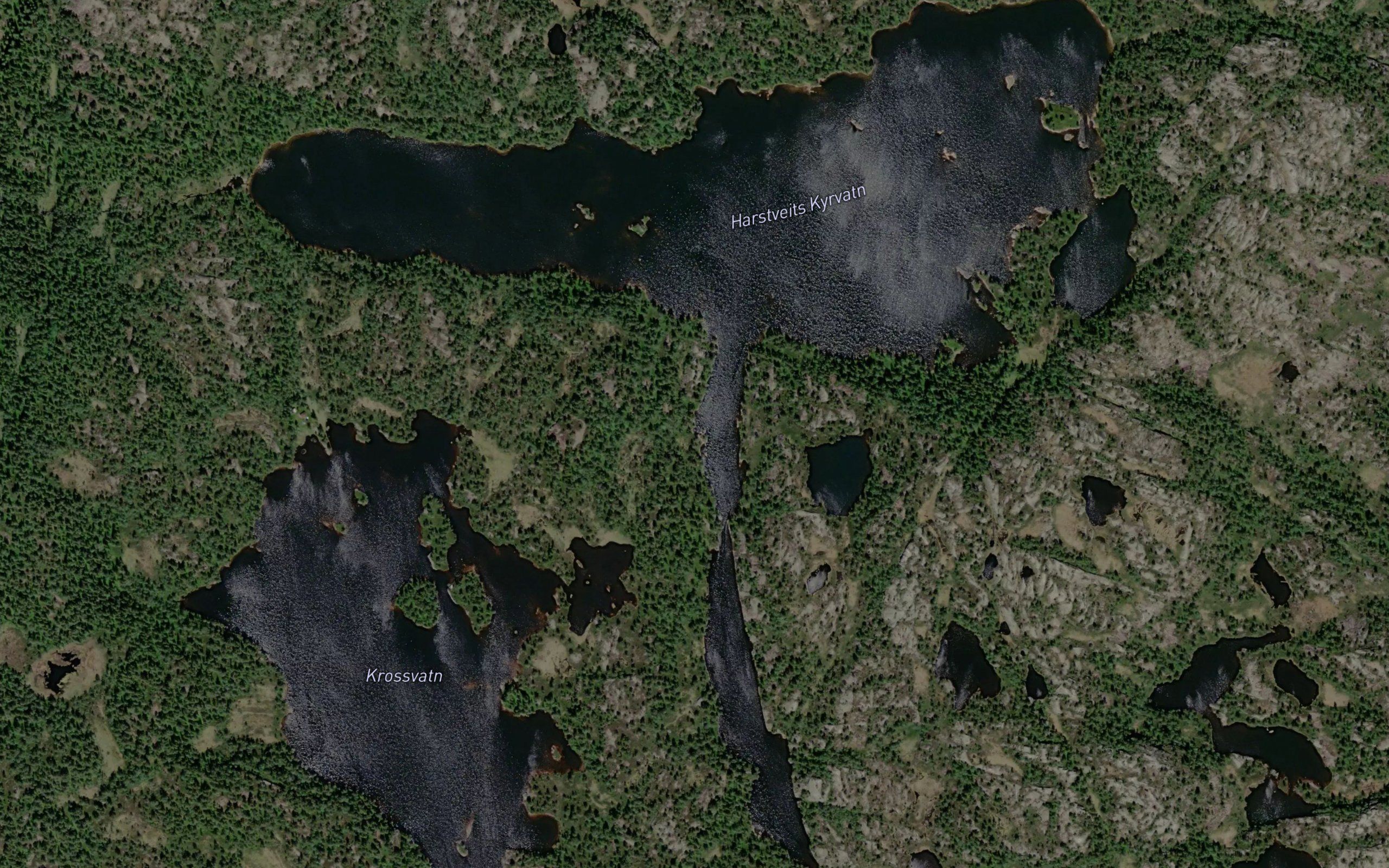 Harstveitkyrvatn