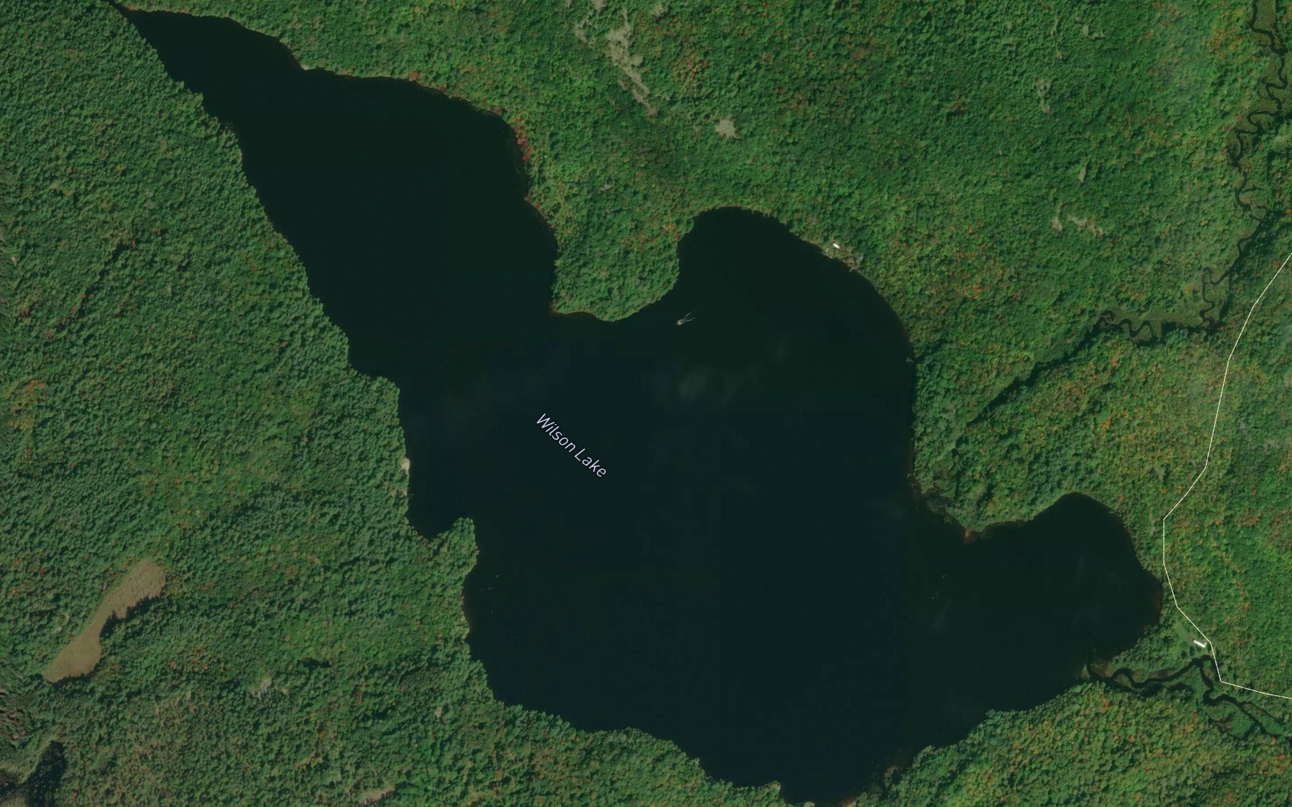 Wilson Lake