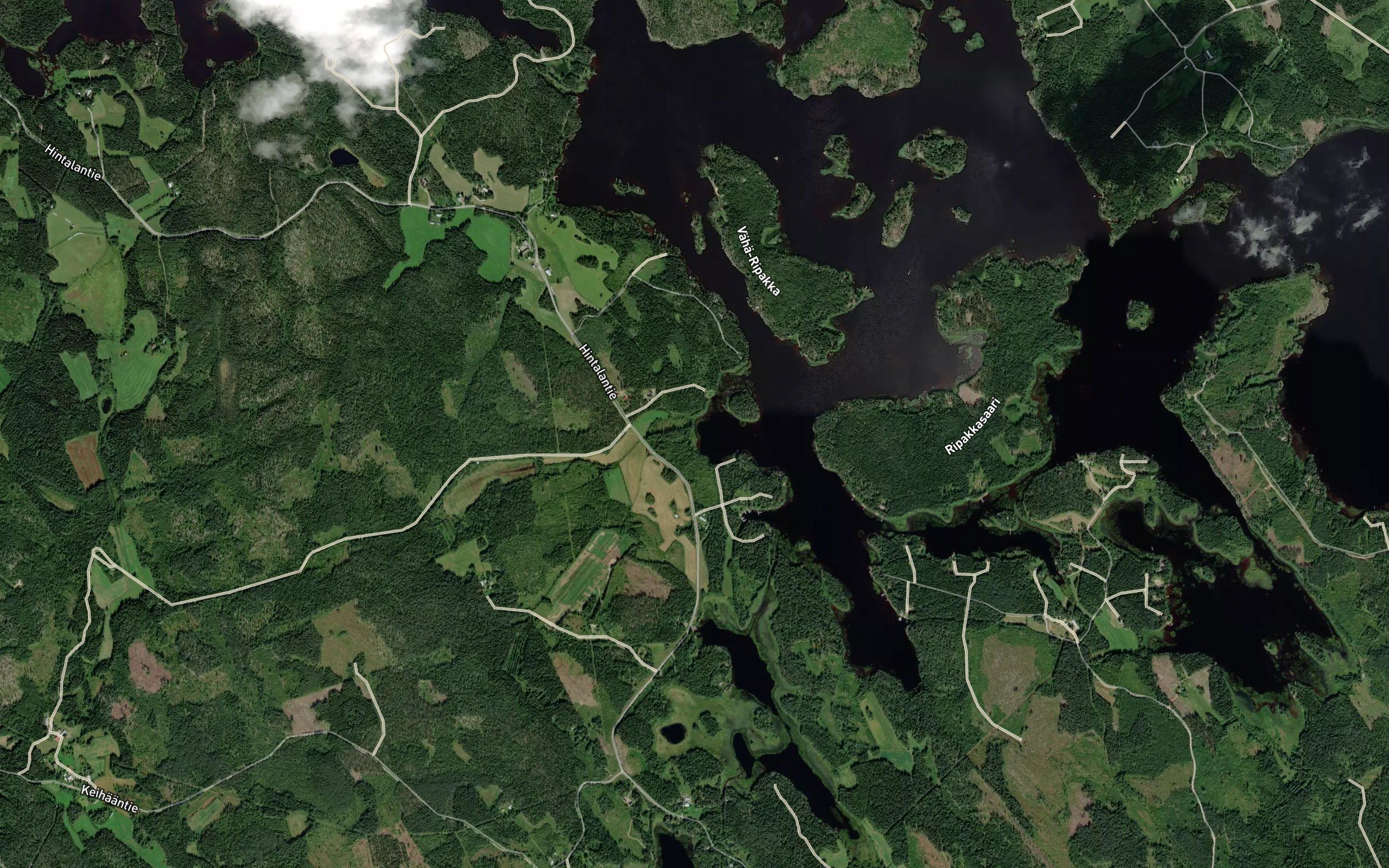 Ripakkaoja