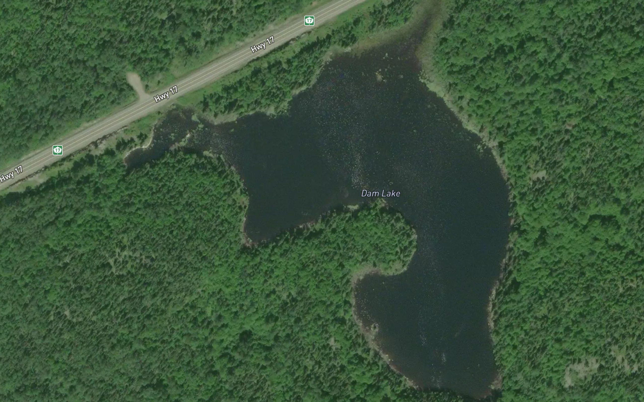 Dam Lake
