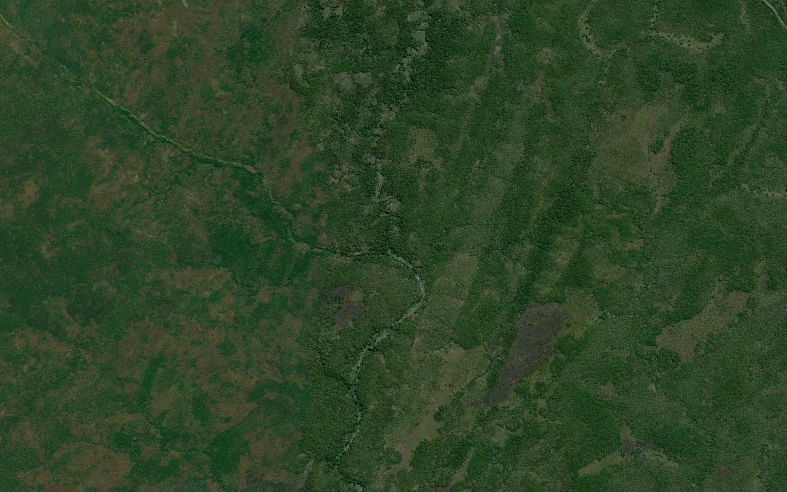 Nacurucupa