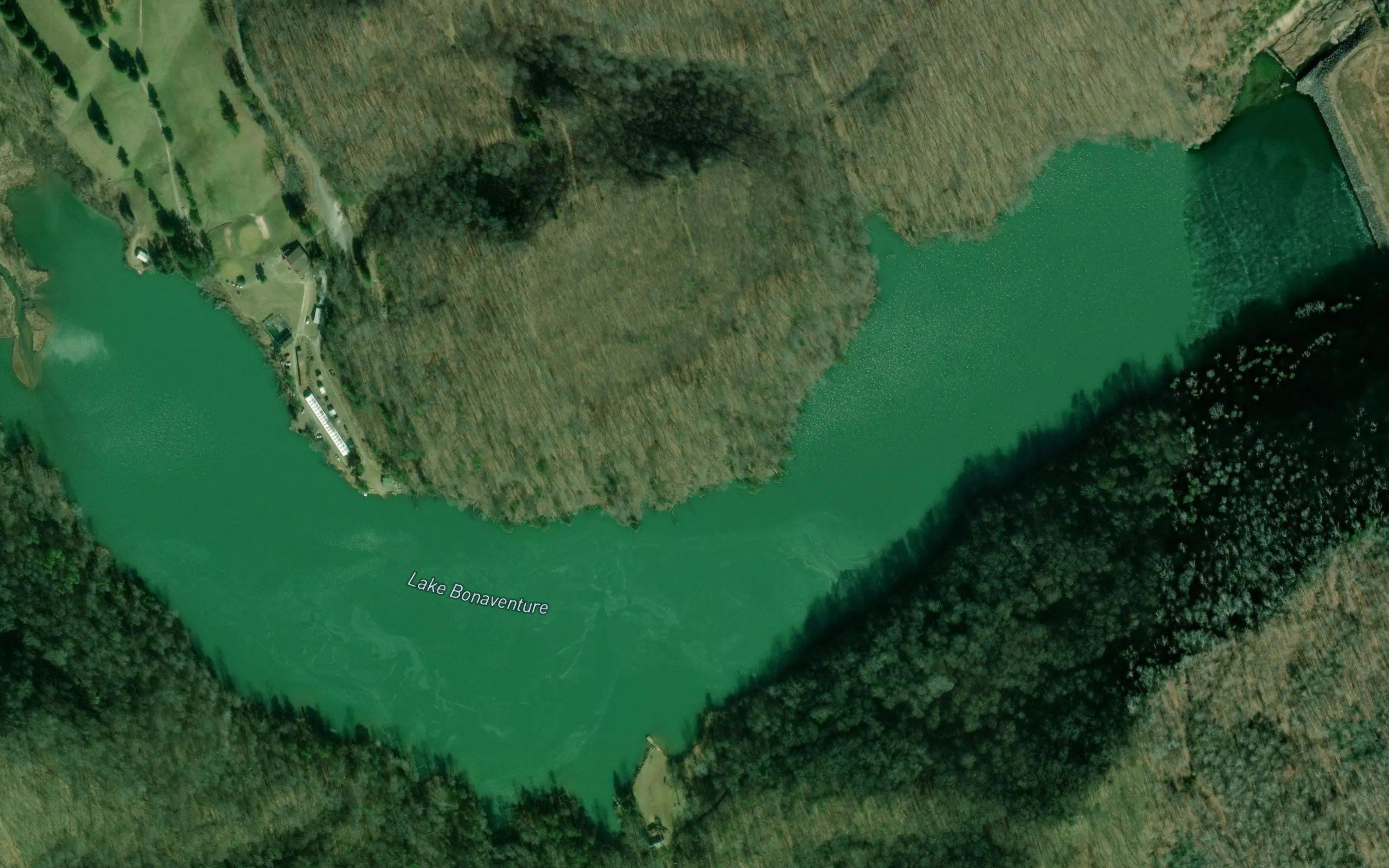 Lake Bonaventure