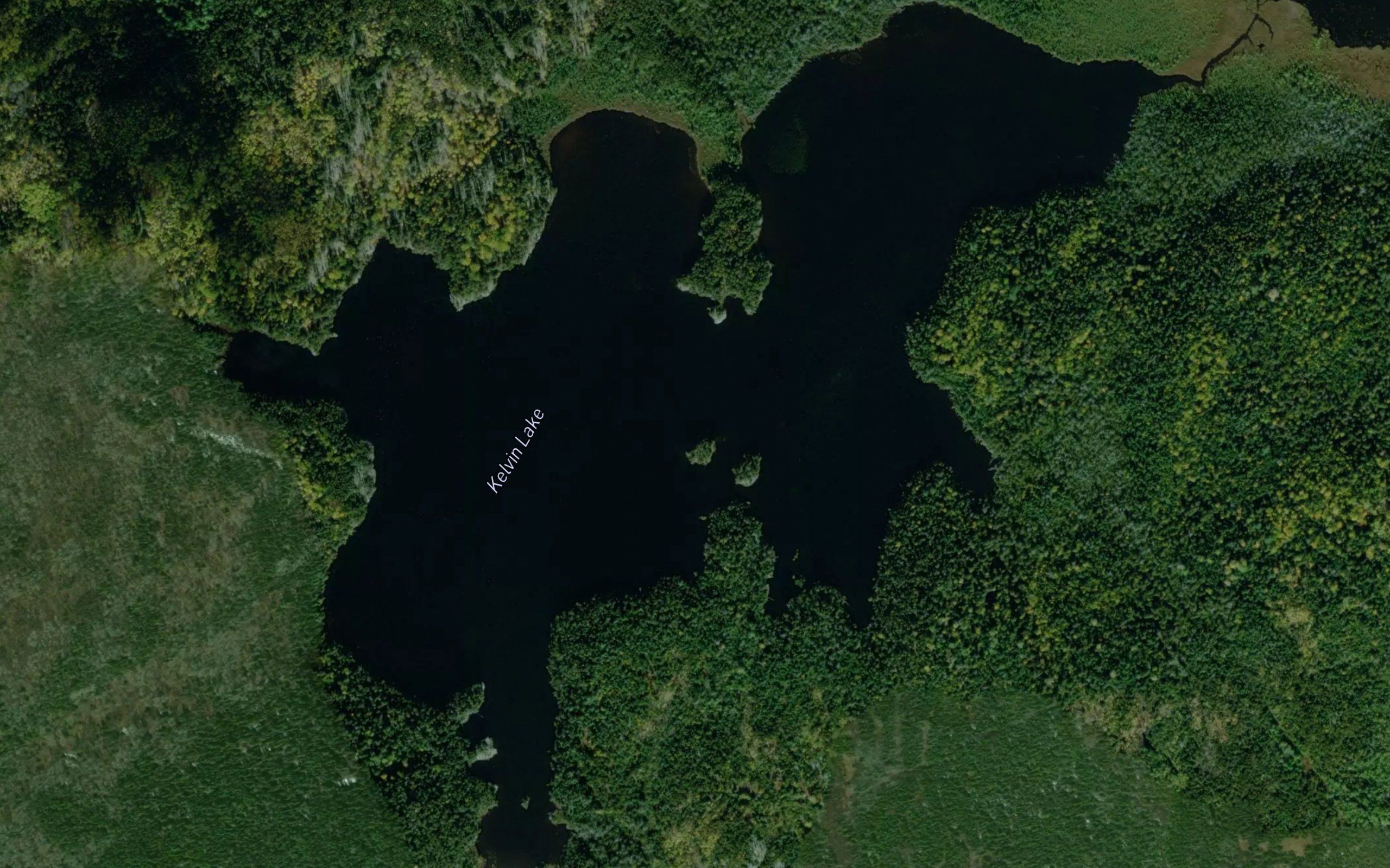 Kelvin Lake