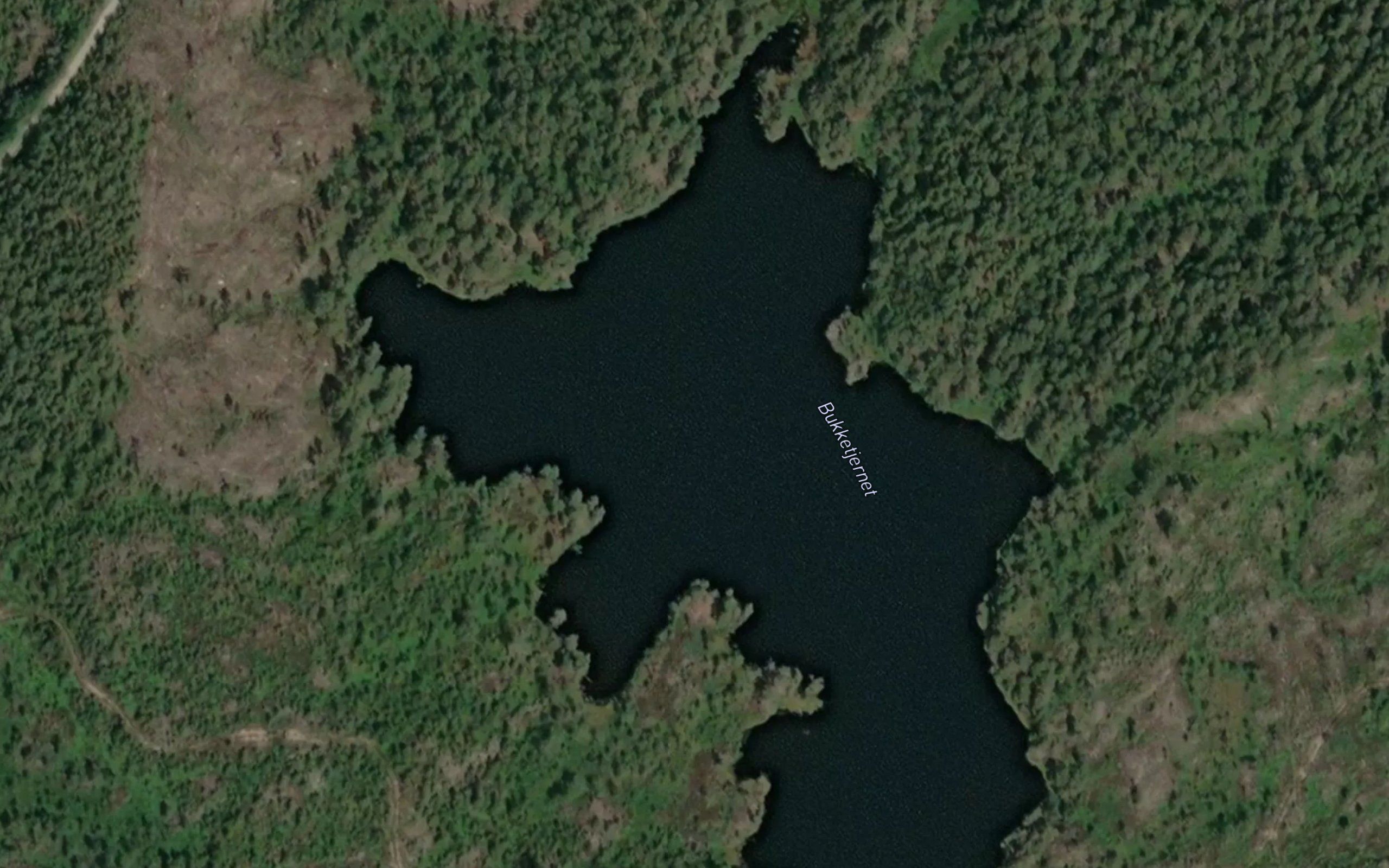 Bukketjern