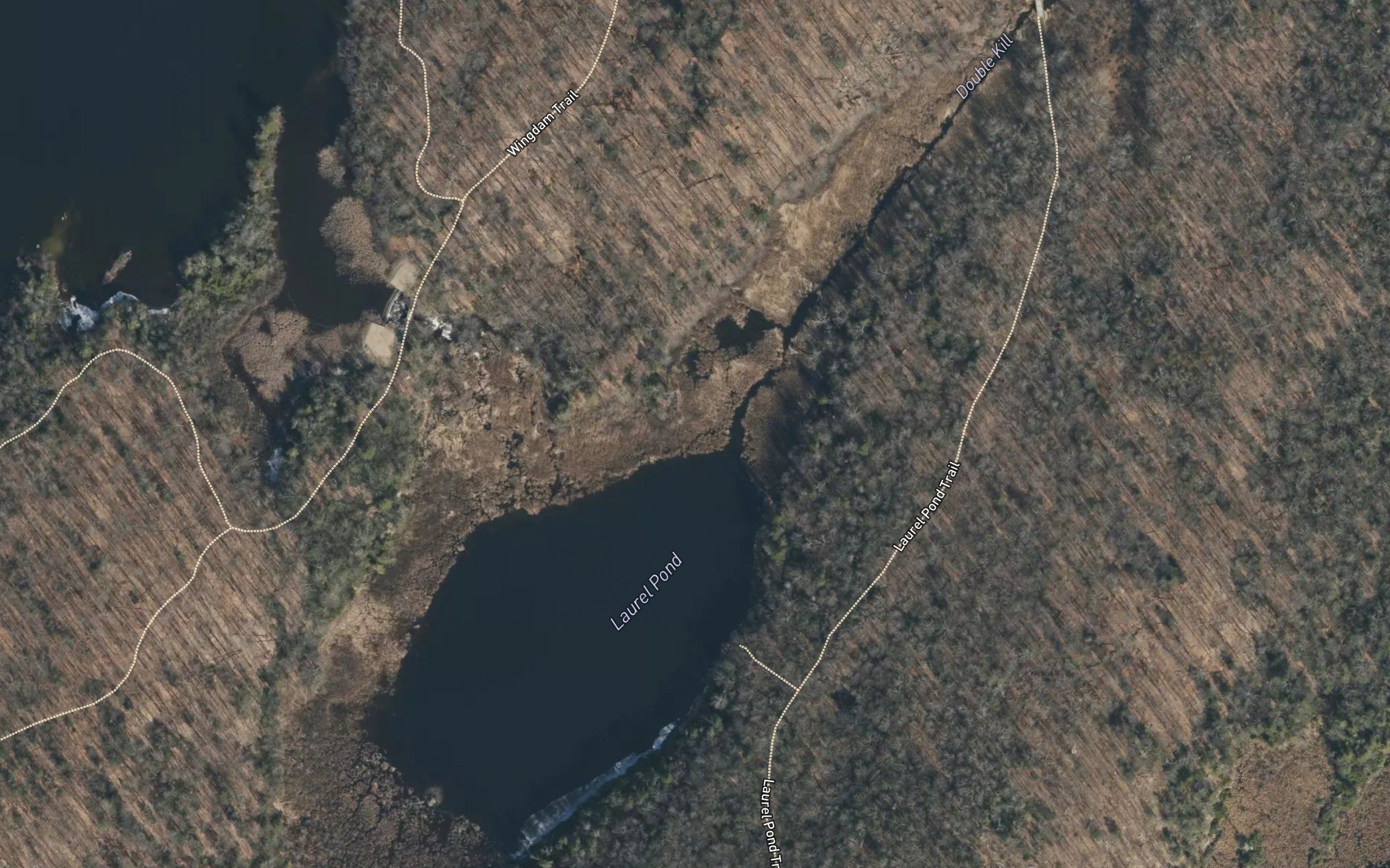 Laurel Pond