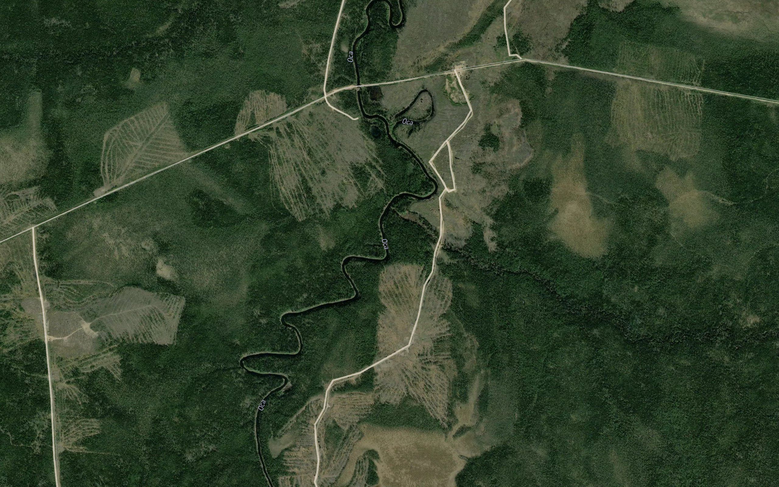 Pinezhka