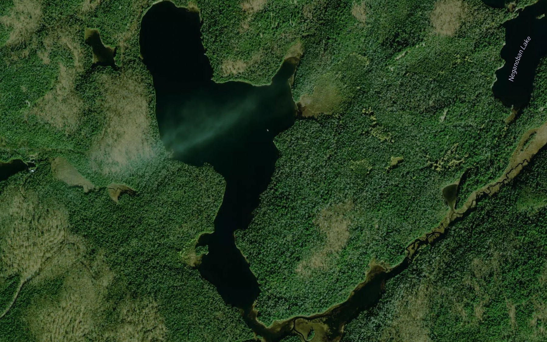 Satellite map of the West Horseshoe Lake