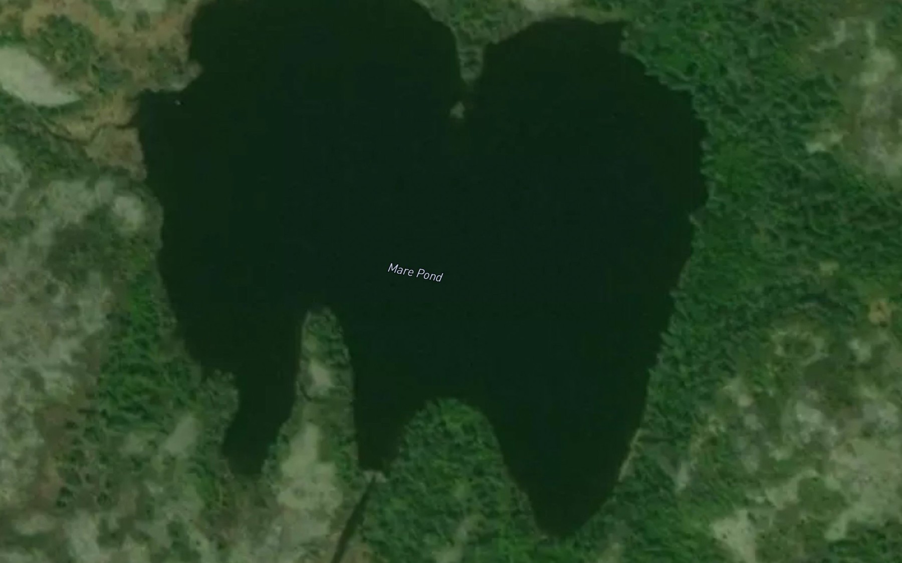 Satellite map of the Mare Pond