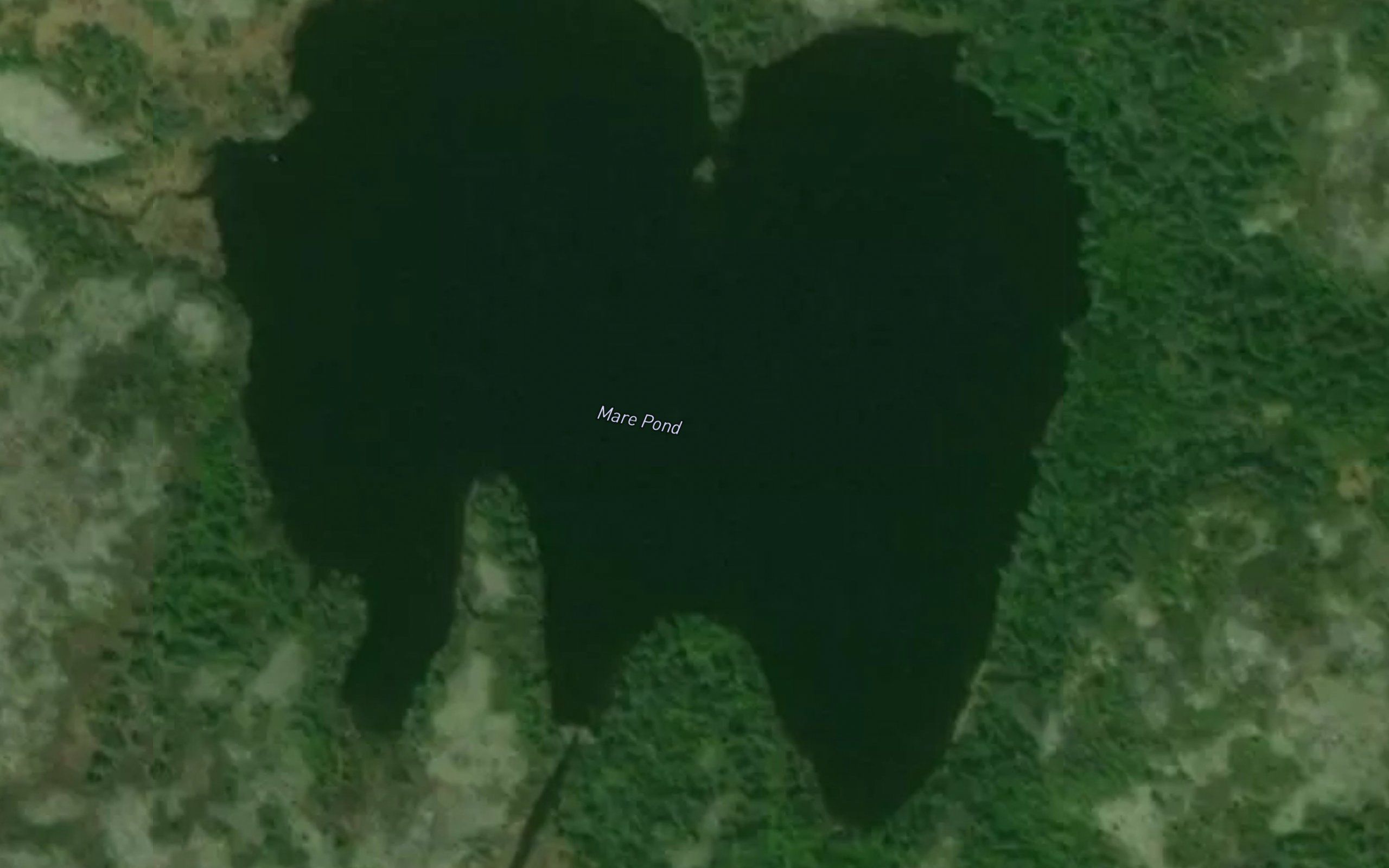 Mare Pond