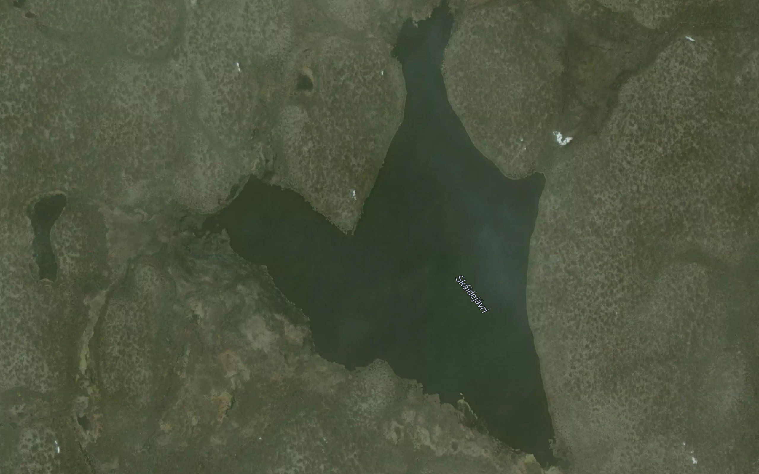 Skaidejavri
