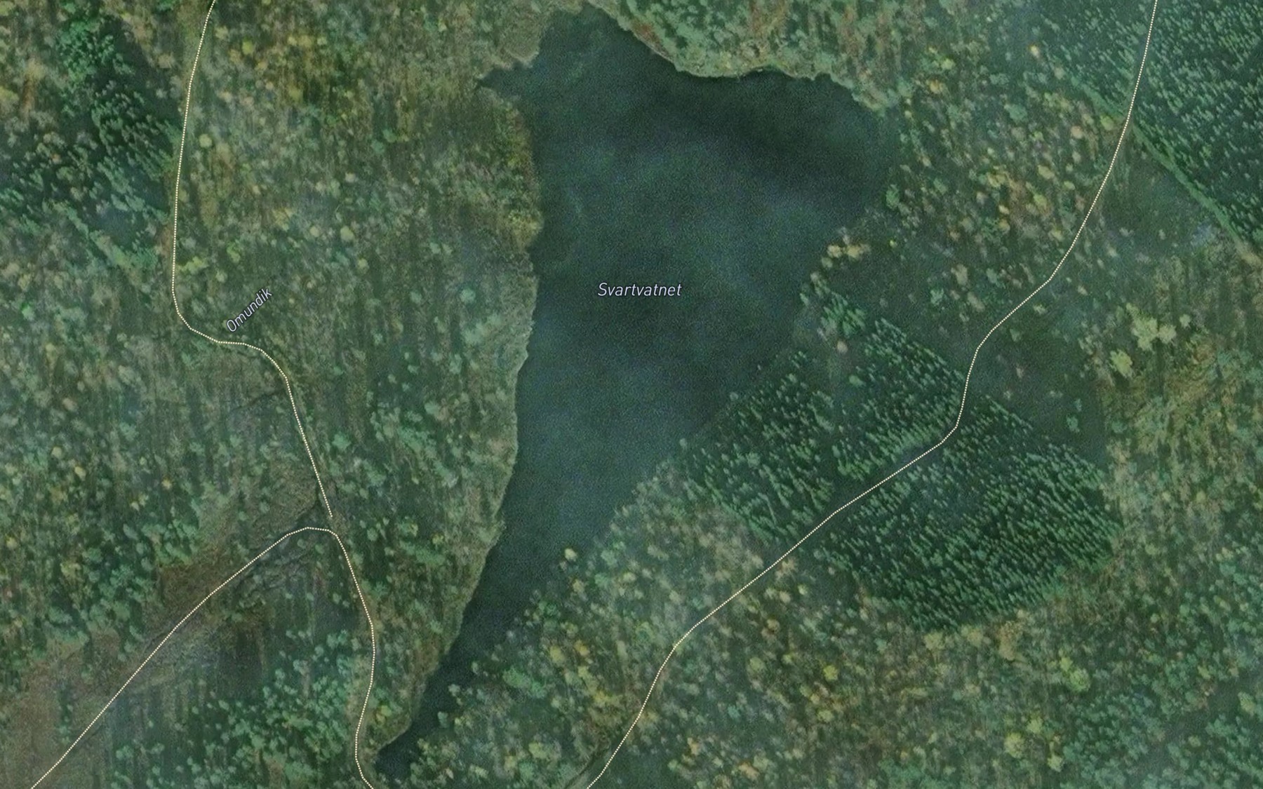 Satellite map of the Svartvatnet