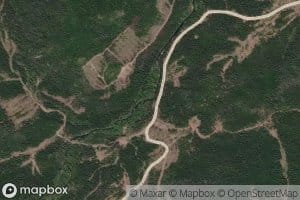 Mokhovoy