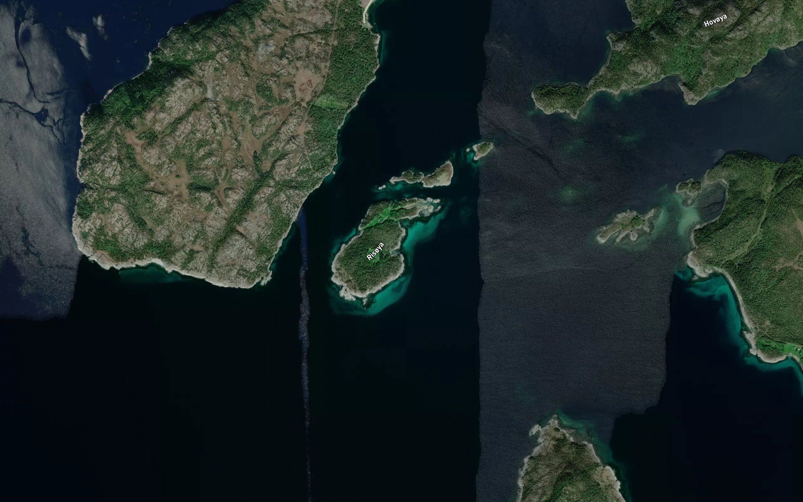Karlsenvika