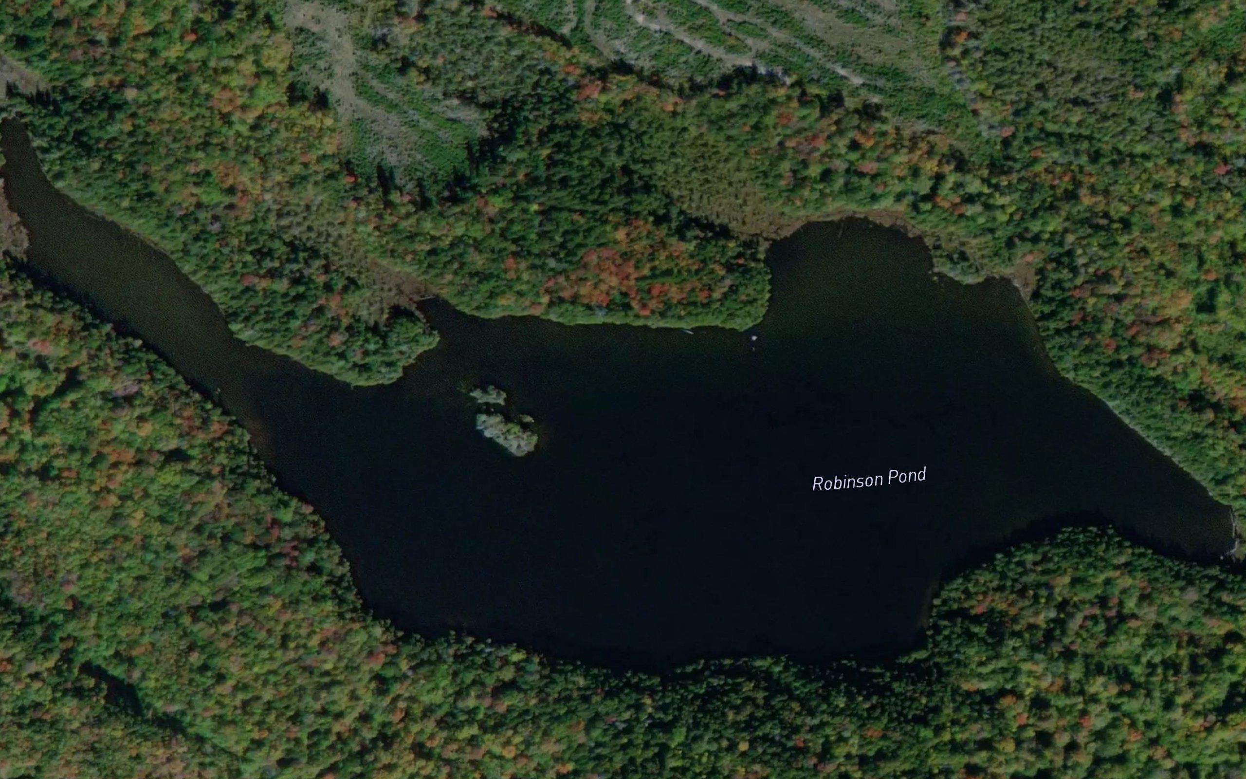 Robinson Pond