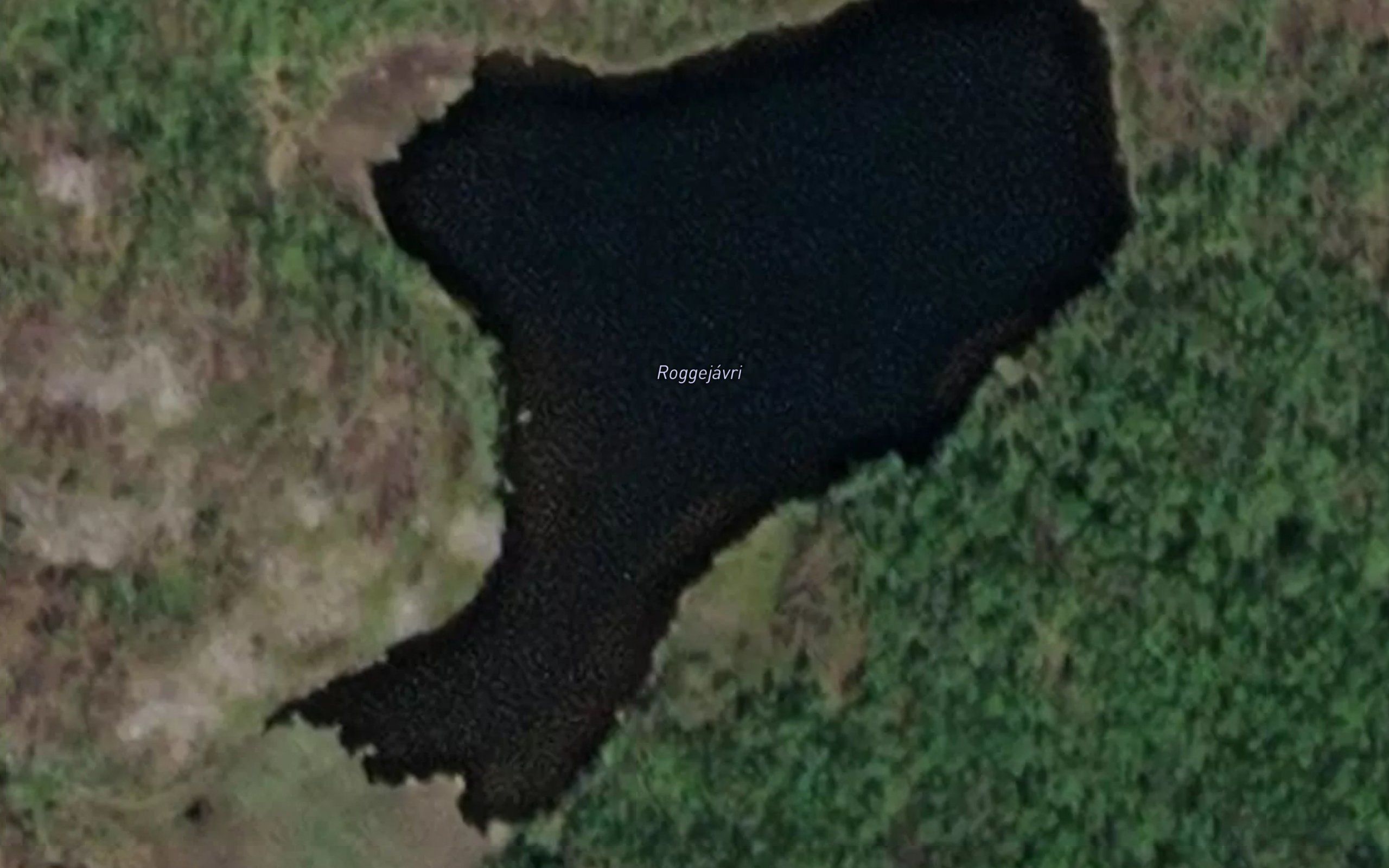 Roggejavri