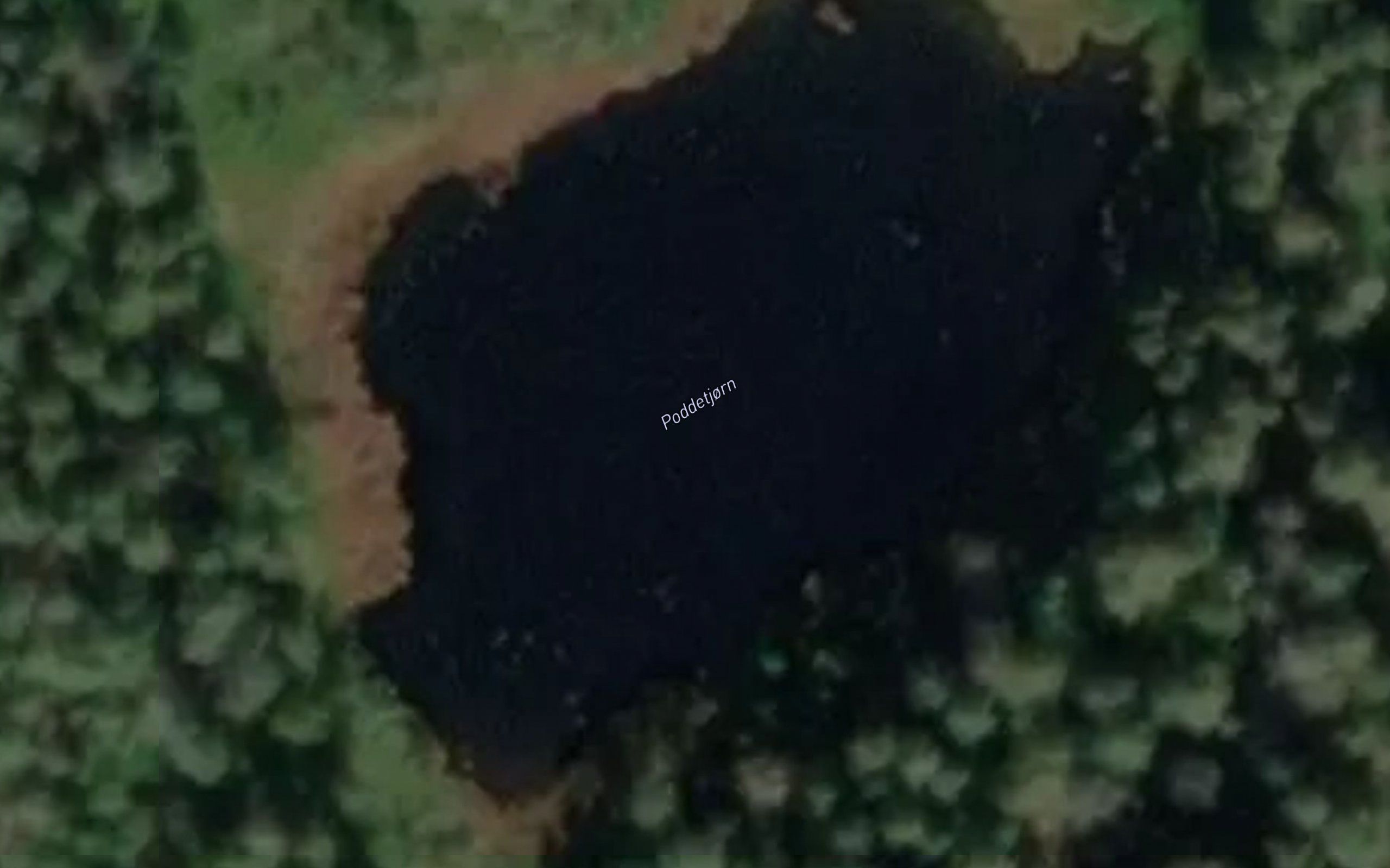 Poddetjorn