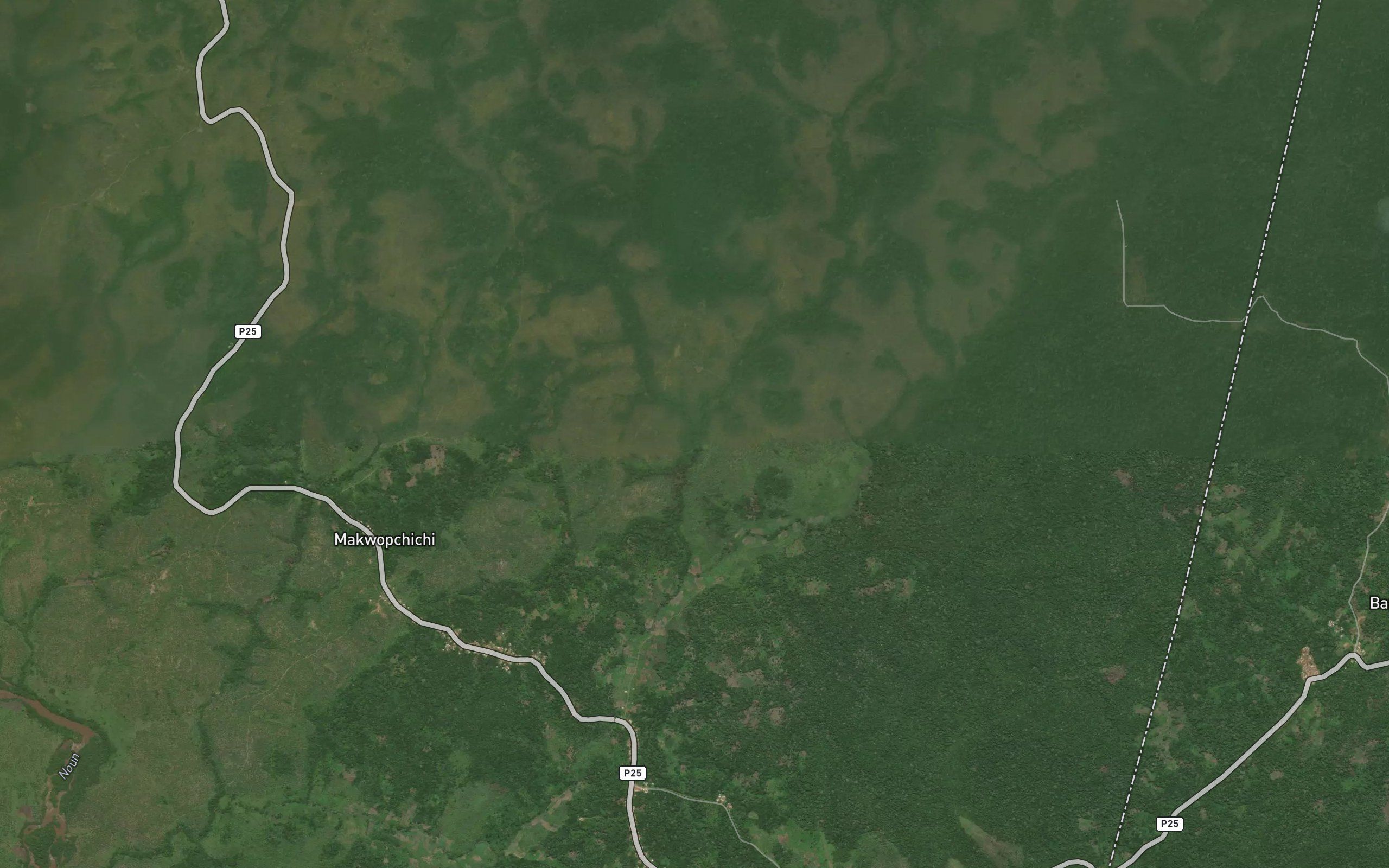 Nkounyu