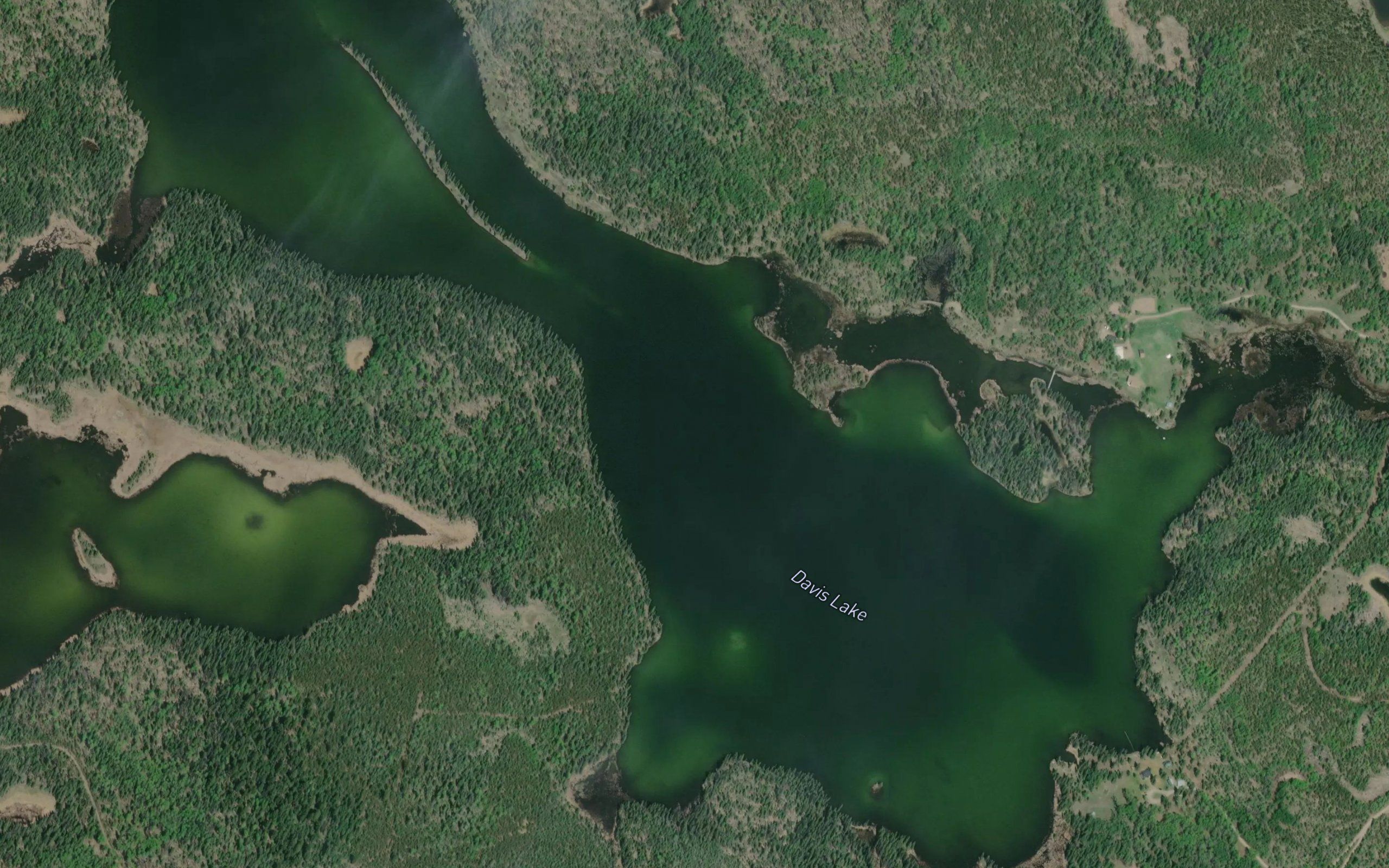 Davis Lake
