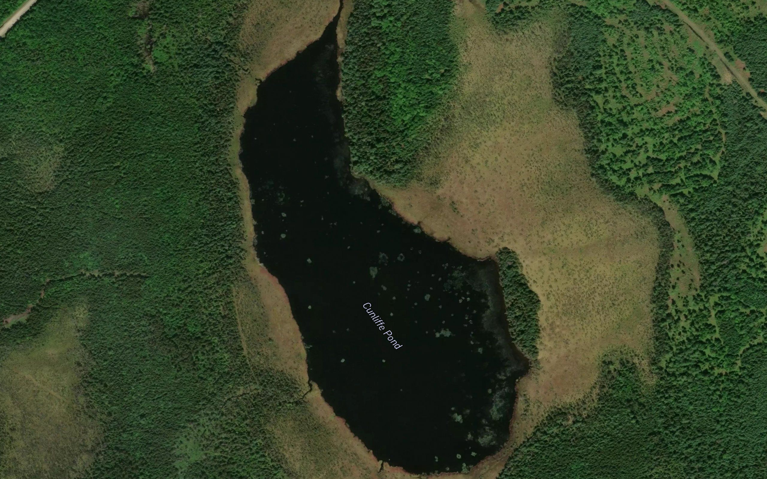 Cunliffe Pond