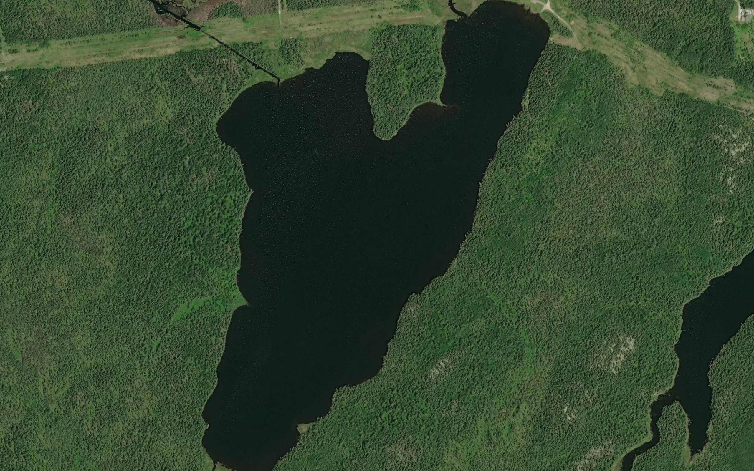Flynne Lake