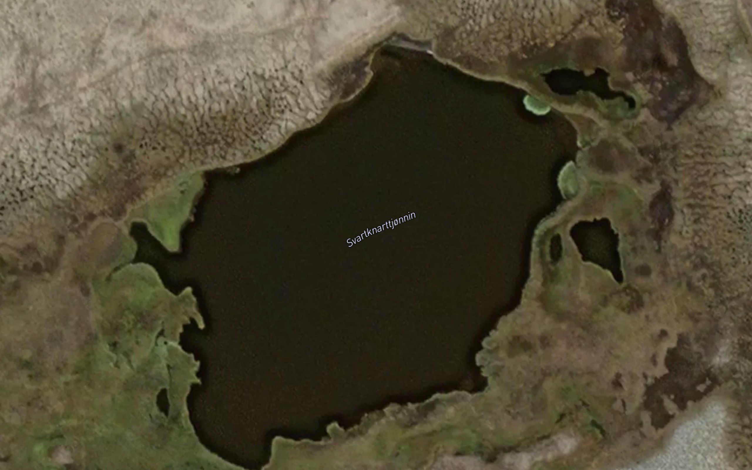 Svartknattjornin