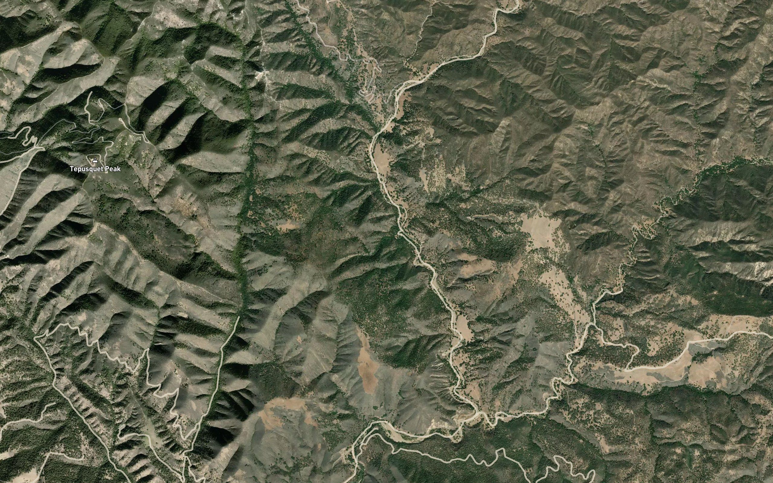 Barrel Springs