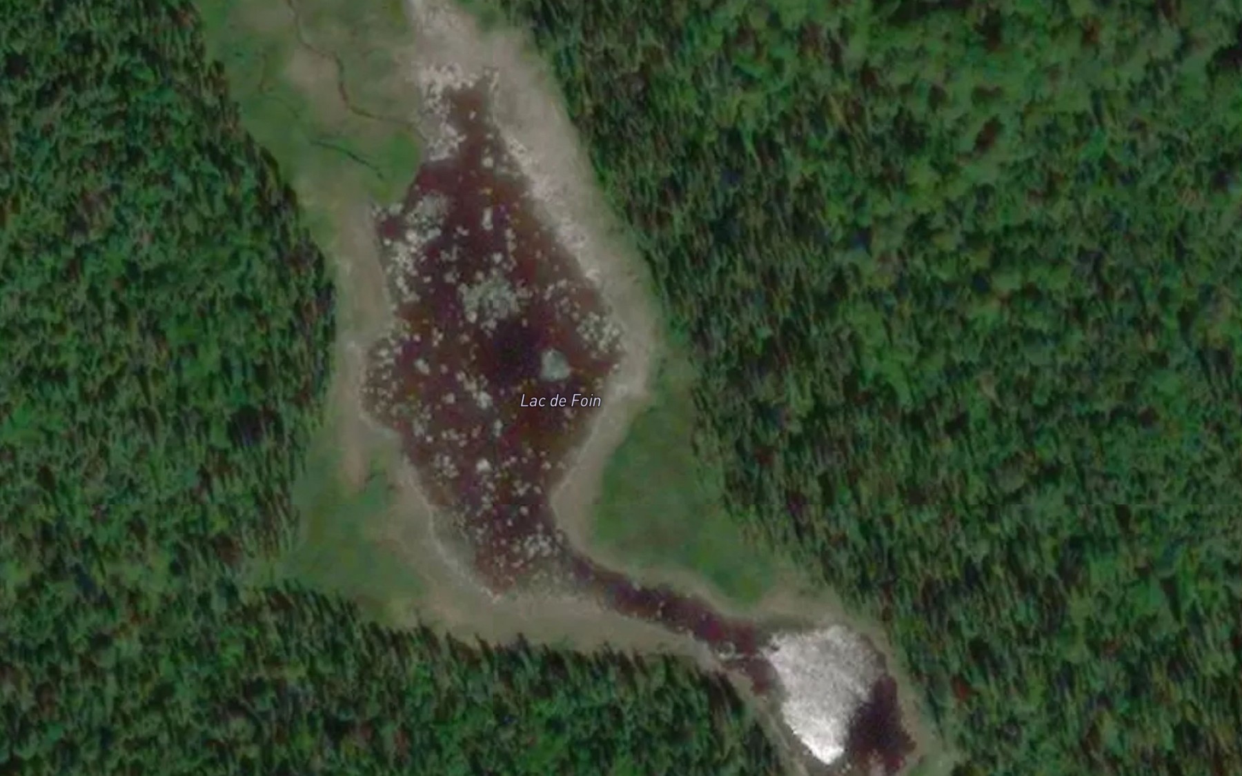 Satellite map of the Lac de Foin