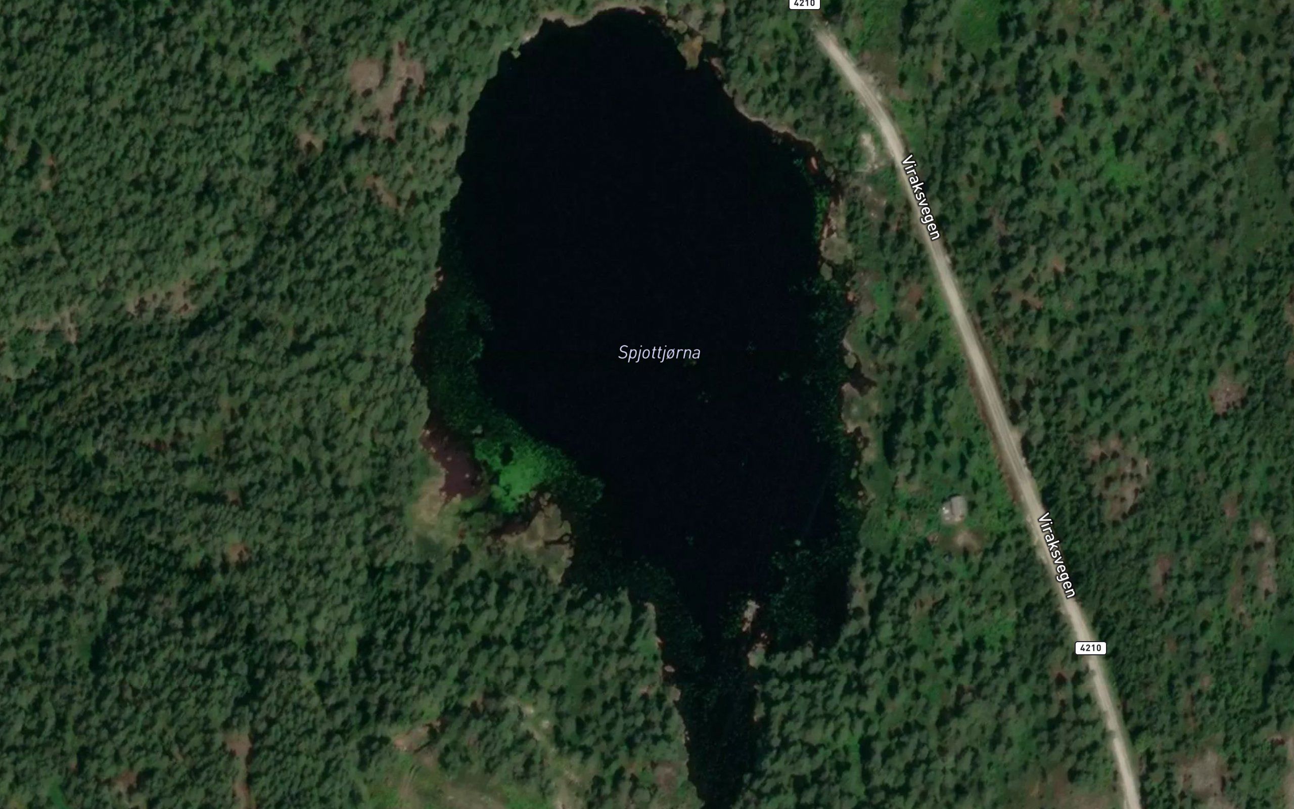 Spjottjorna