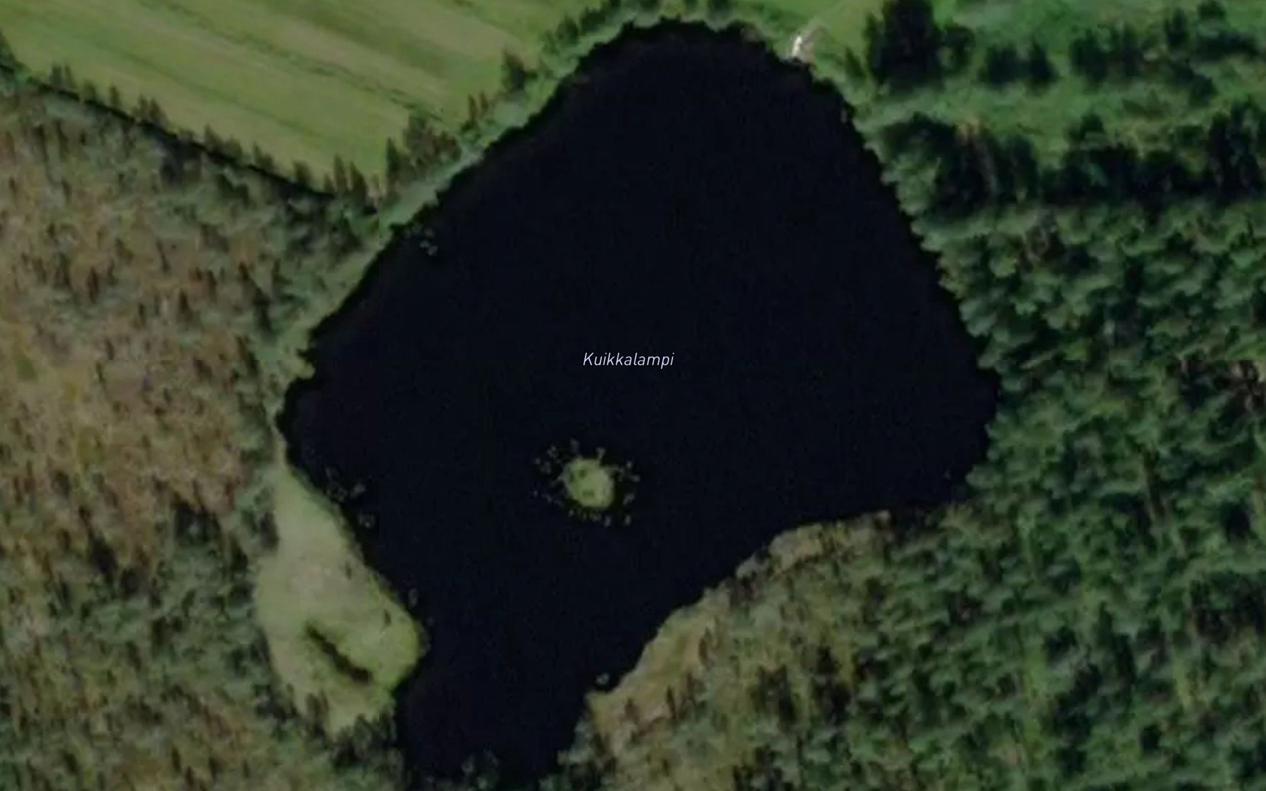 Kuikkalammit
