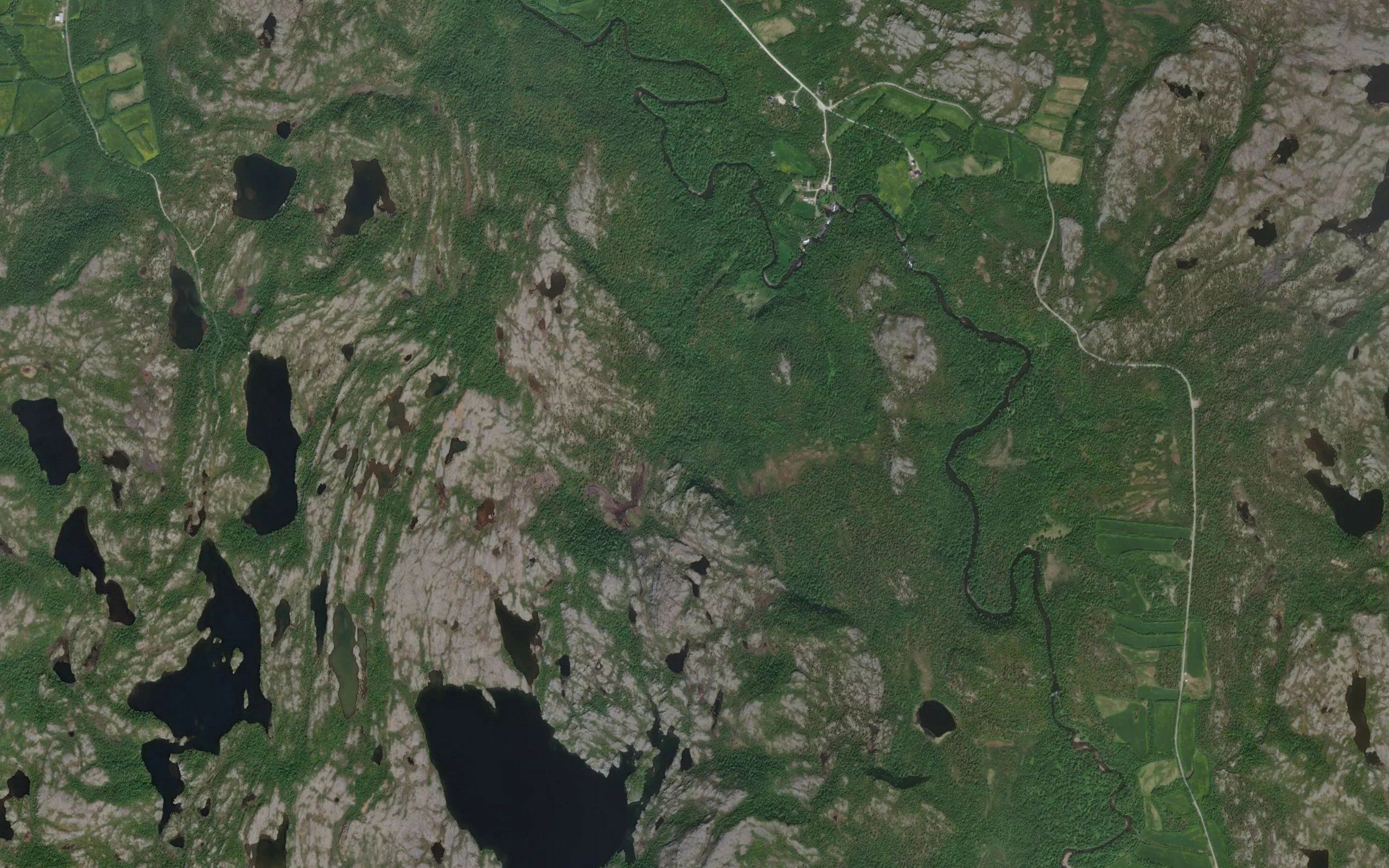 Caevresjakka