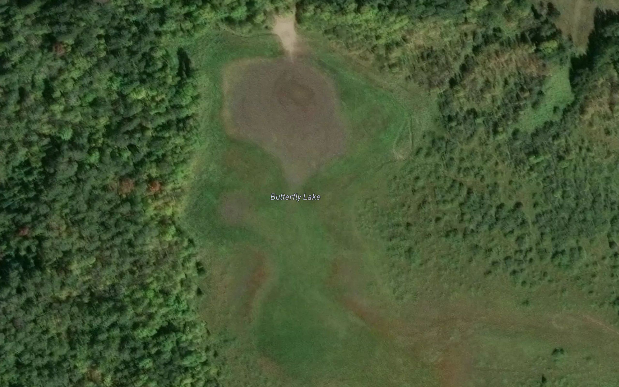 Butterfly Lake