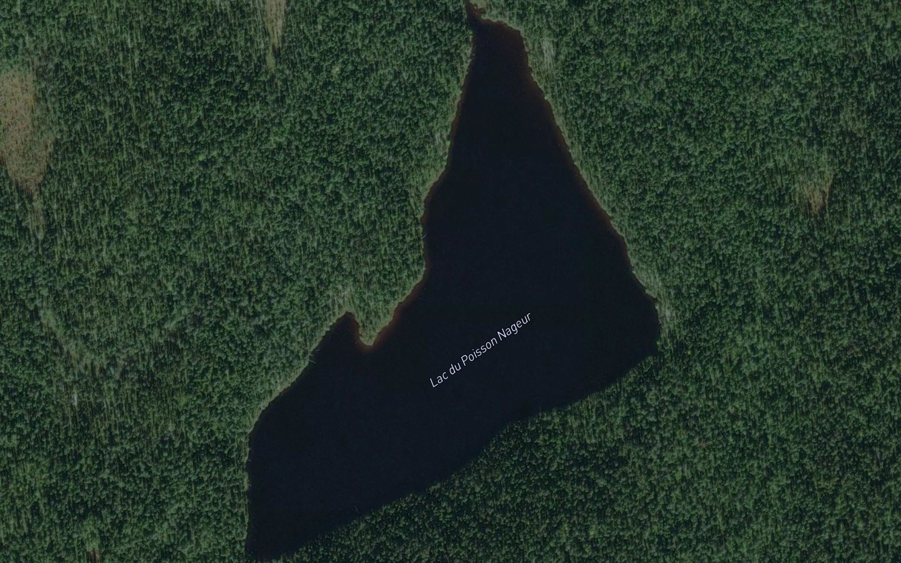 Satellite map of the Lac du Poisson Nageur