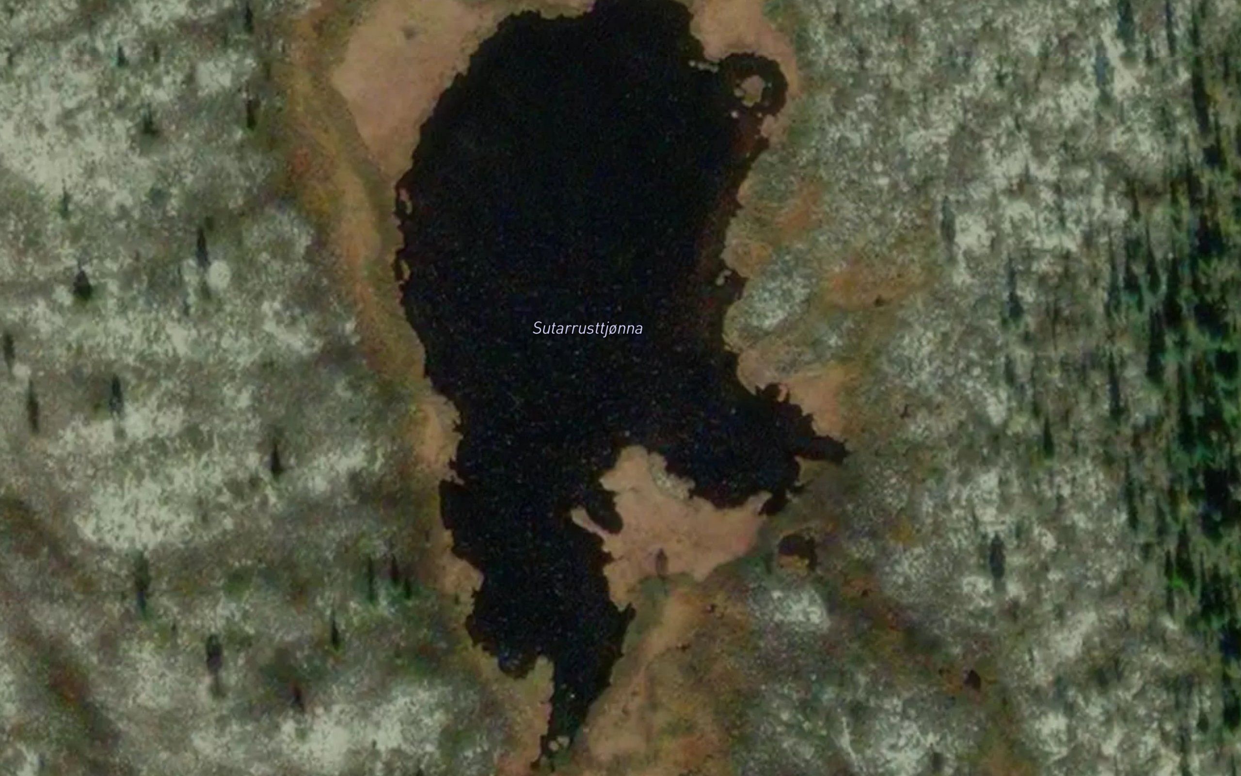 Sutarrusttjorna