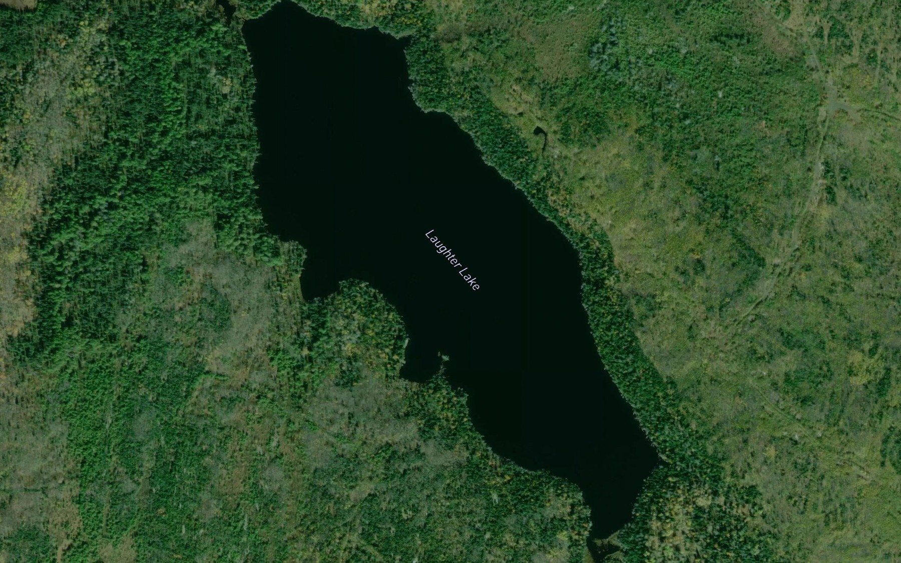 Satellite map of the Laughter Lake