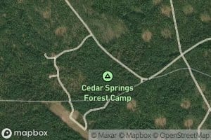 Cedar Spring