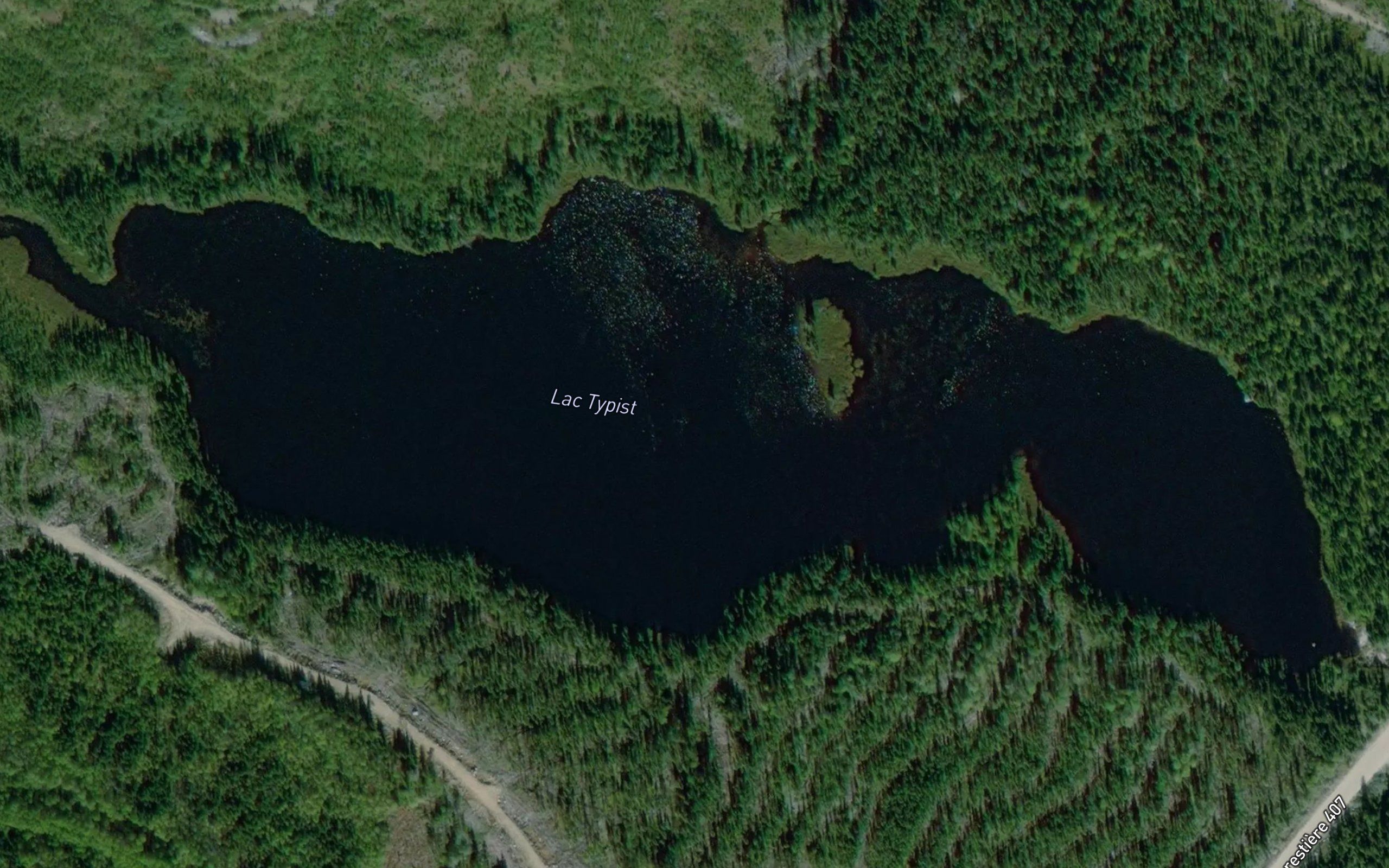 Lac Typist
