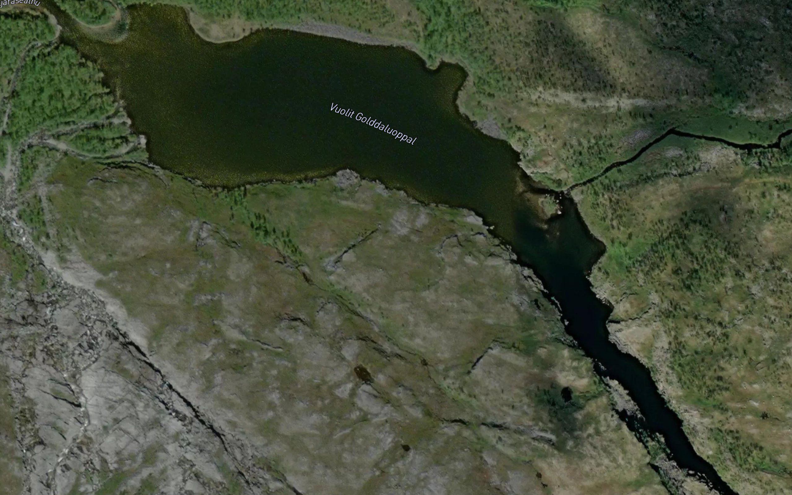 Golddaluoppal,vuolit
