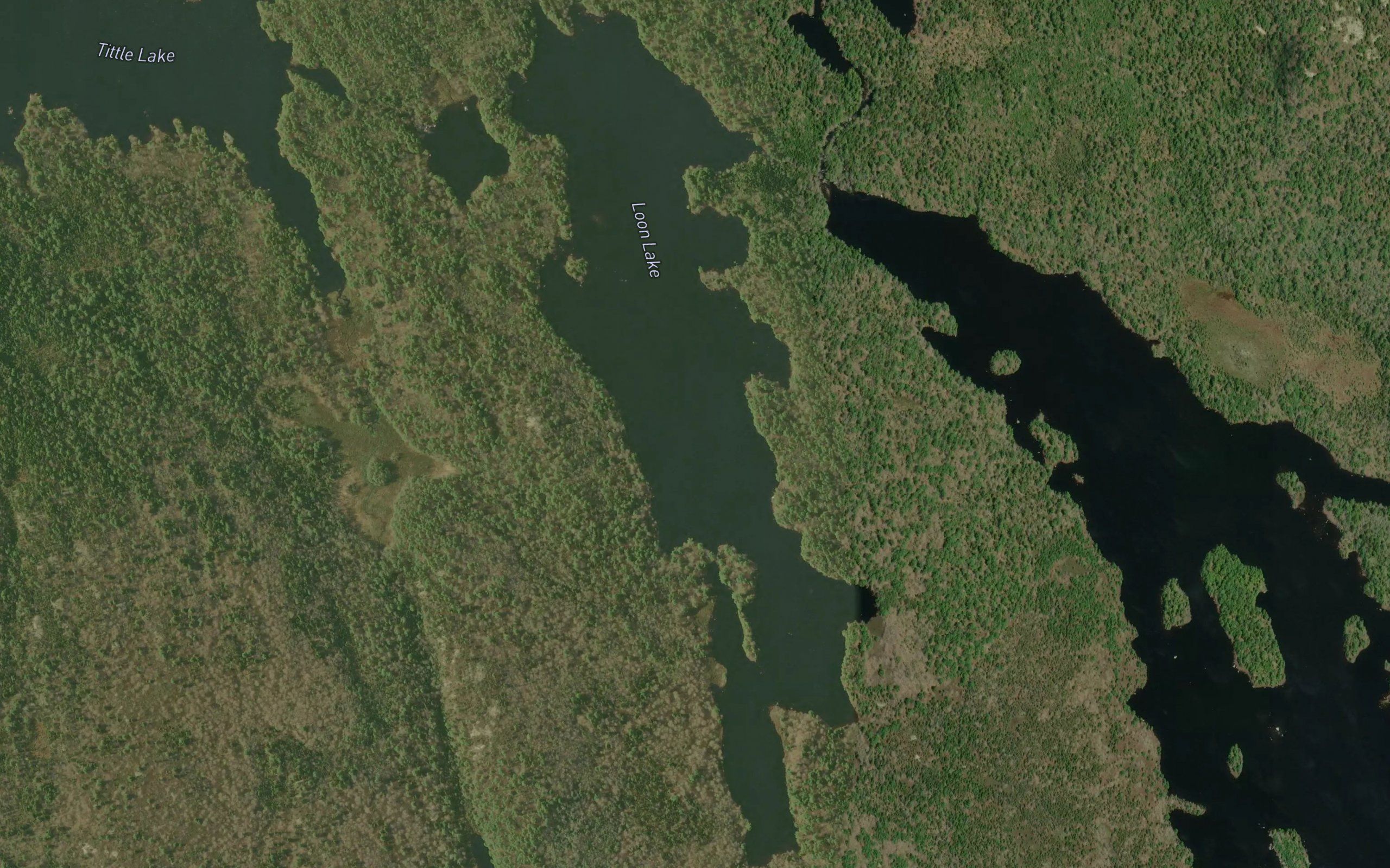 Loon Lake