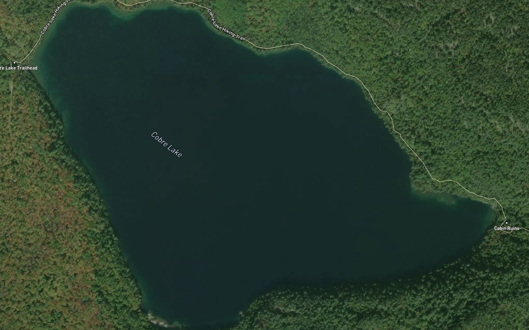 Satellite map of the Cobre Lake