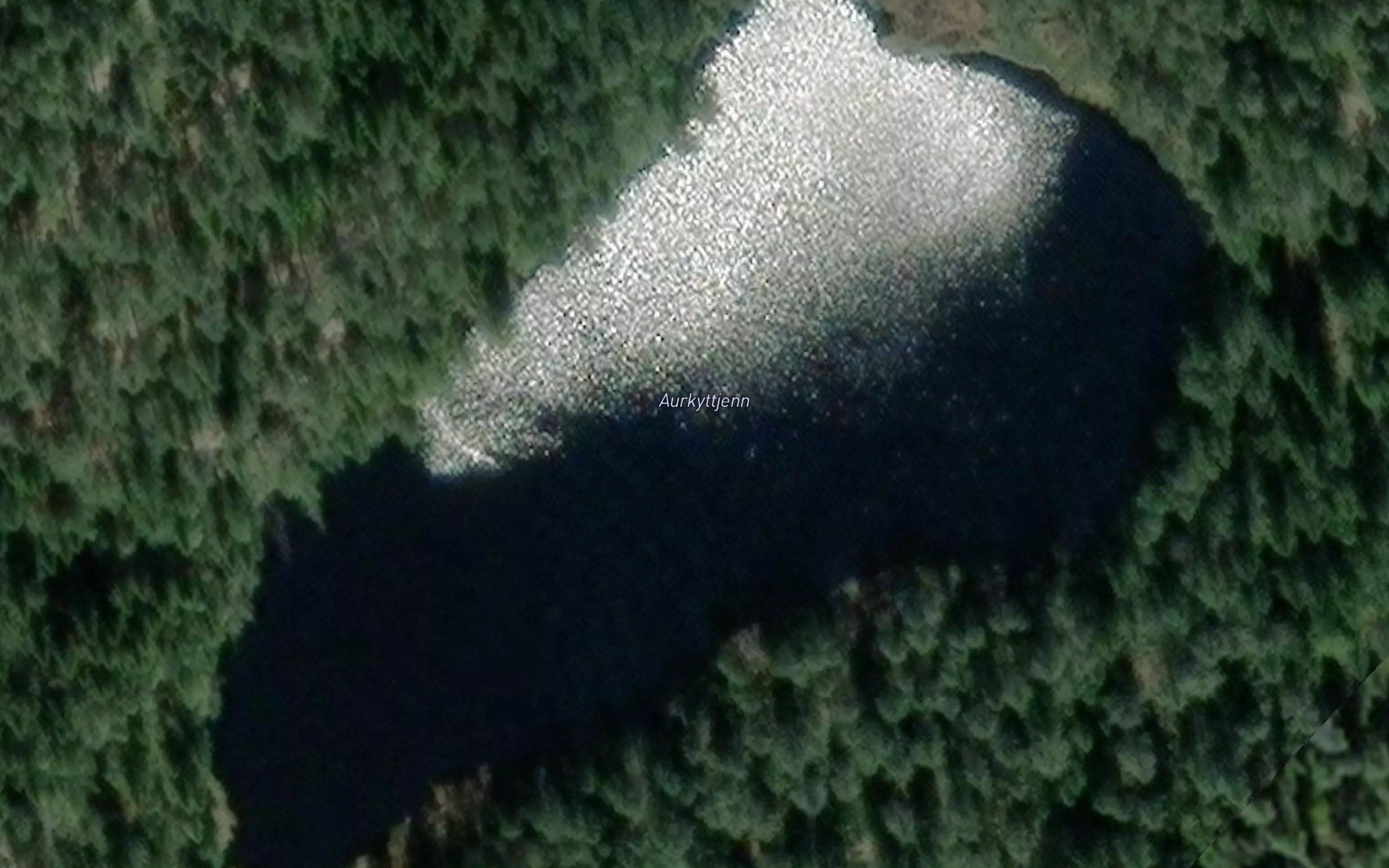 Aurkyttjern