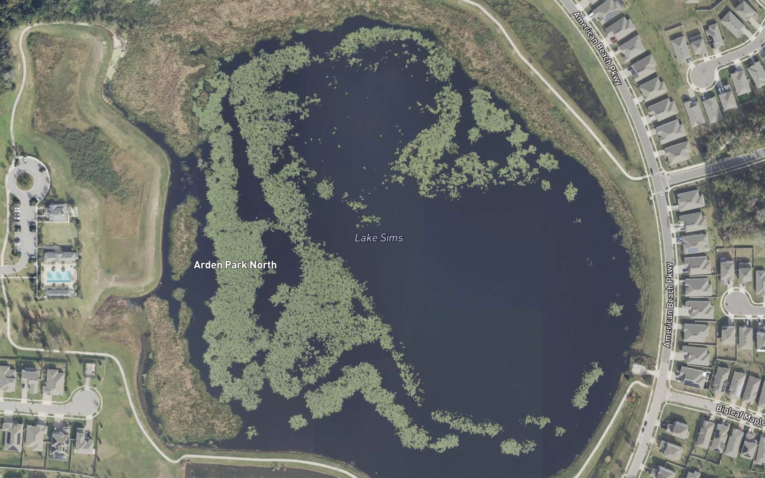 Lake Sims