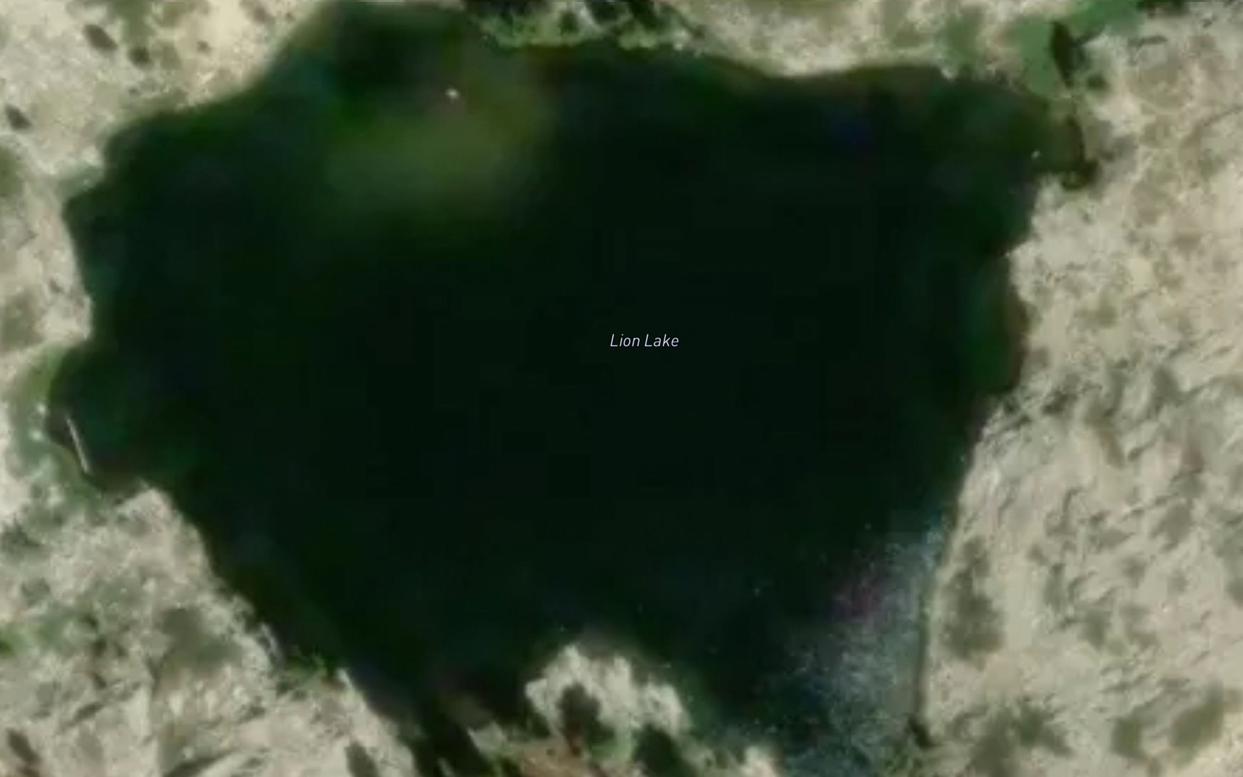 Satellite map of the Lion Lake