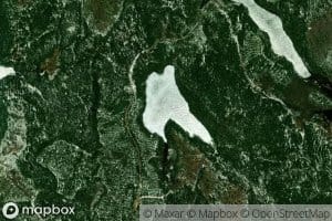 Lac Plasmodie