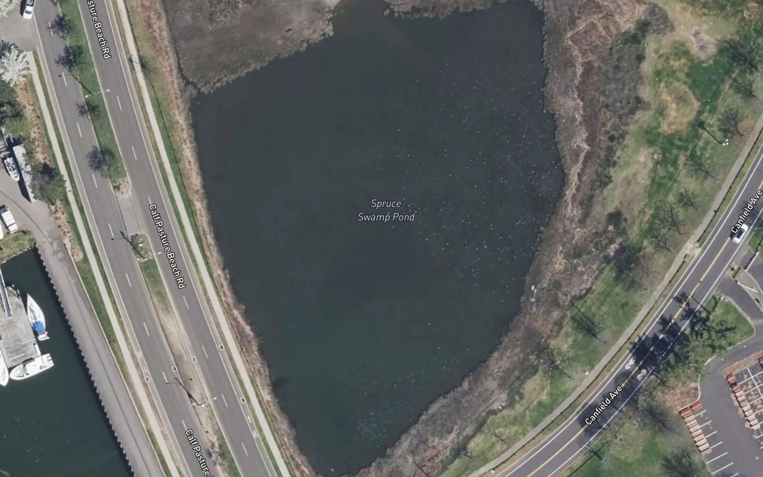 Spruce Swamp Pond